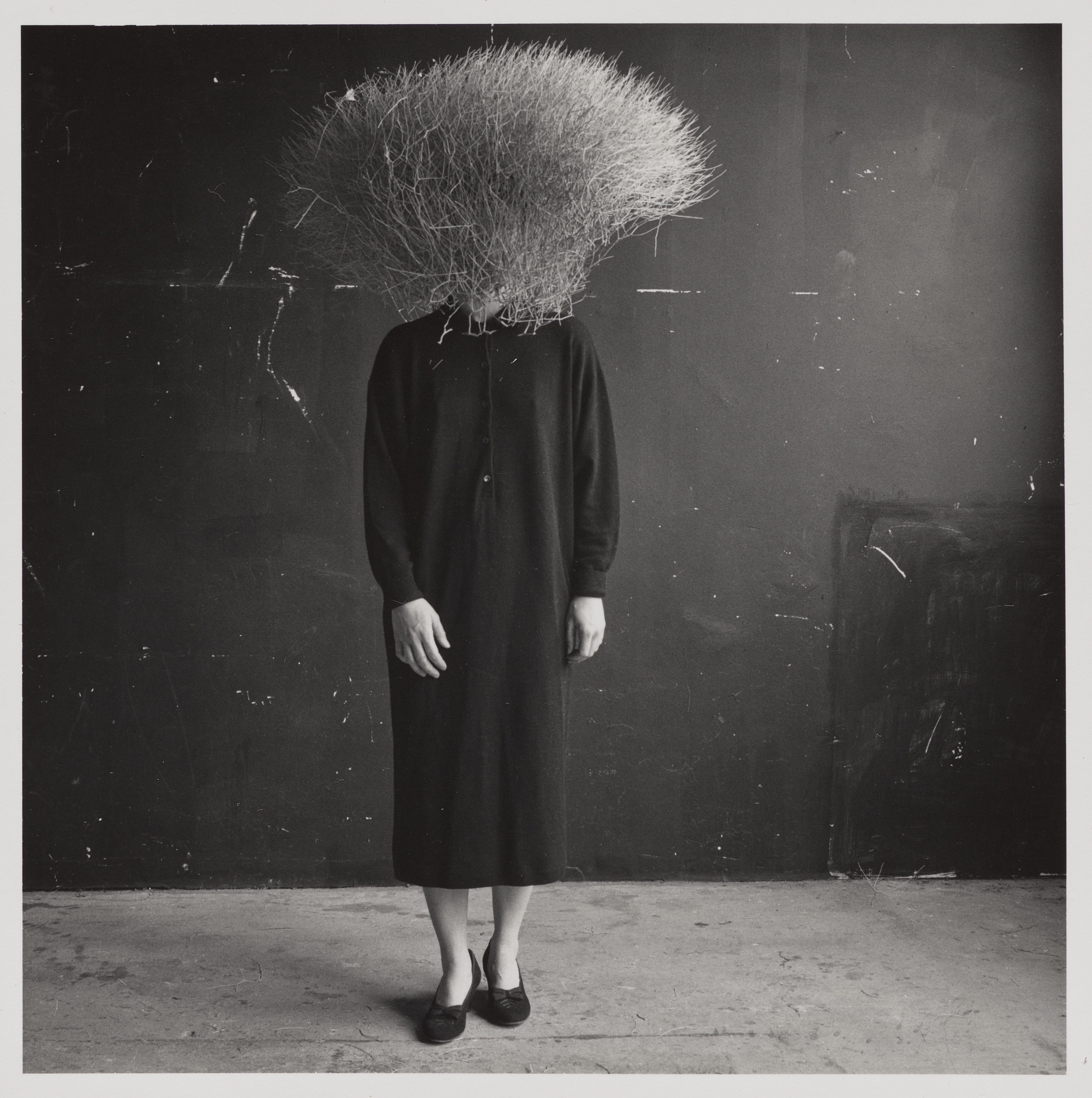 Ohio artist Ann Hamilton explores 'Tactile Image' in CMA