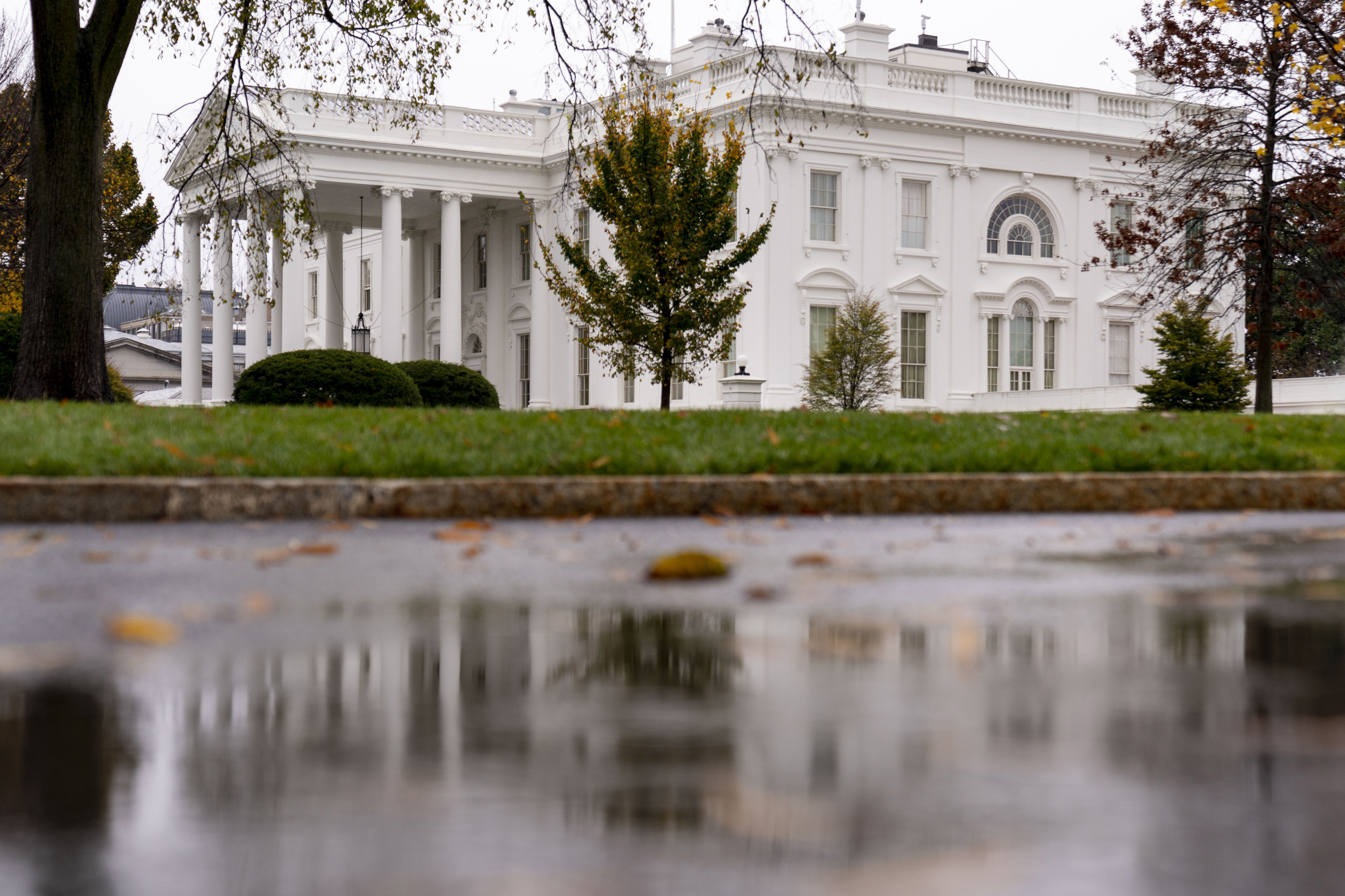 Silent in loss. Администрация США. 