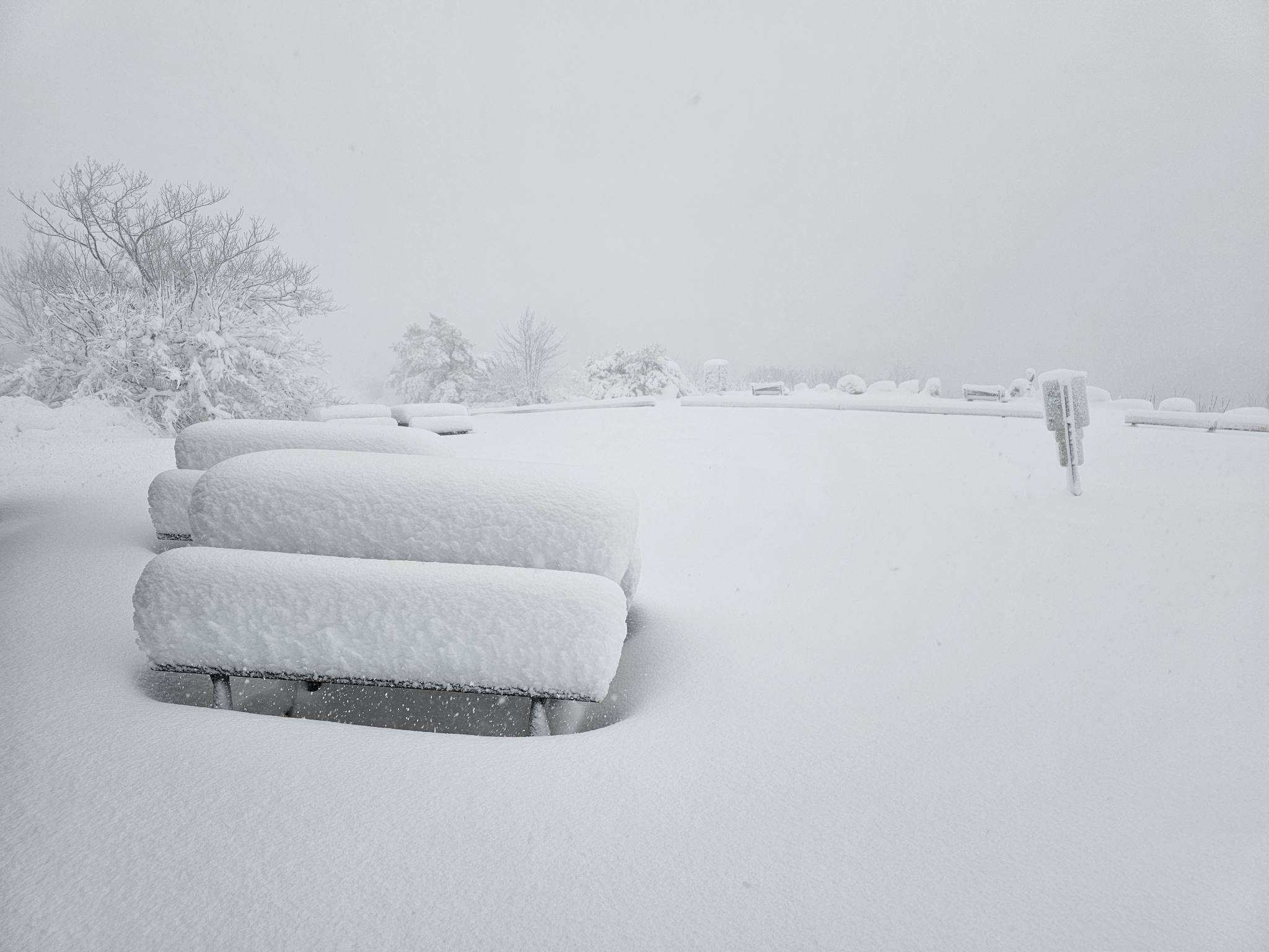 N.J. snow totals hit 20 inches. See latest town-by-town snowfall 