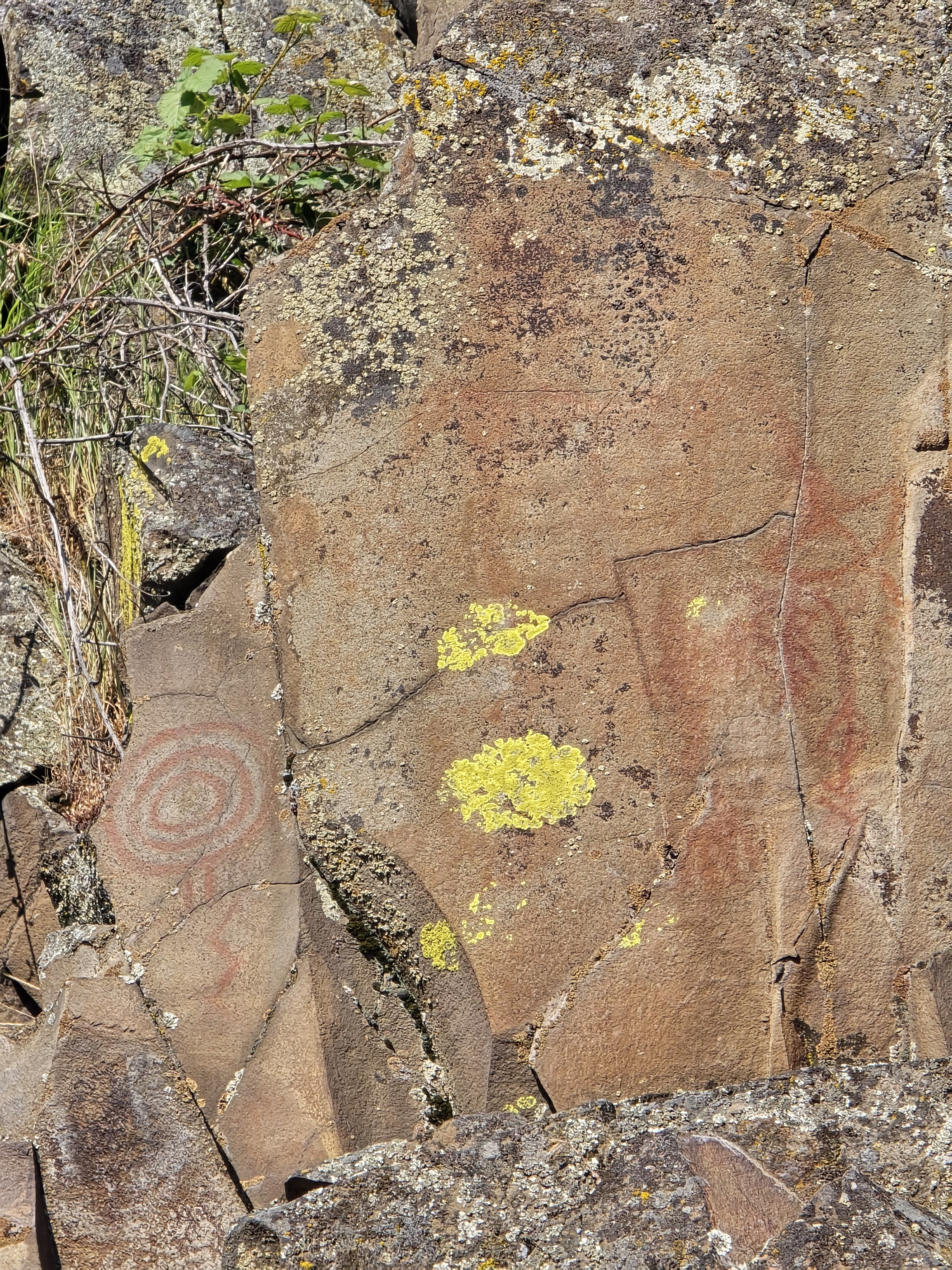 She Who Watches' rock art at Columbia River Gorge - oregonlive.com