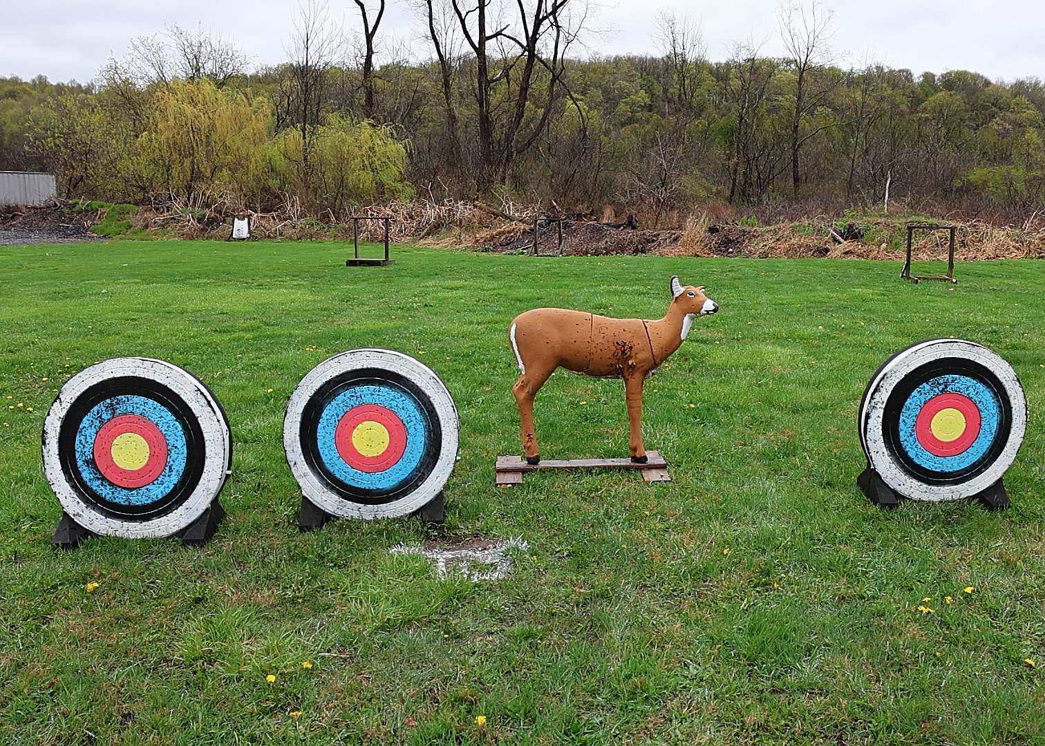 Sawyer's Country Edge - Visit Kosciusko County, image size:1512x1080