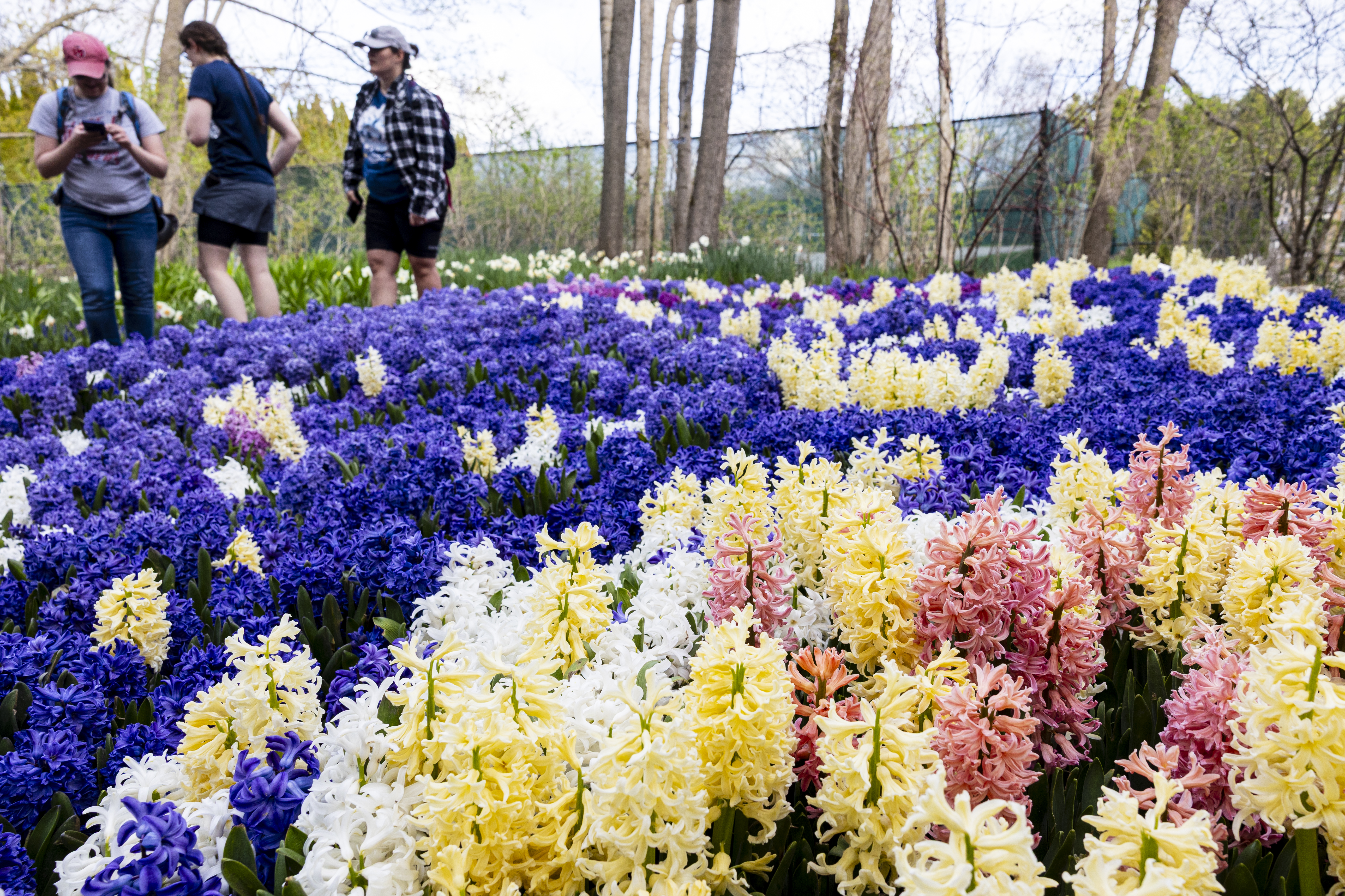 Grand Hotel's picturesque gardens bloom on Mackinac Island - mlive.com