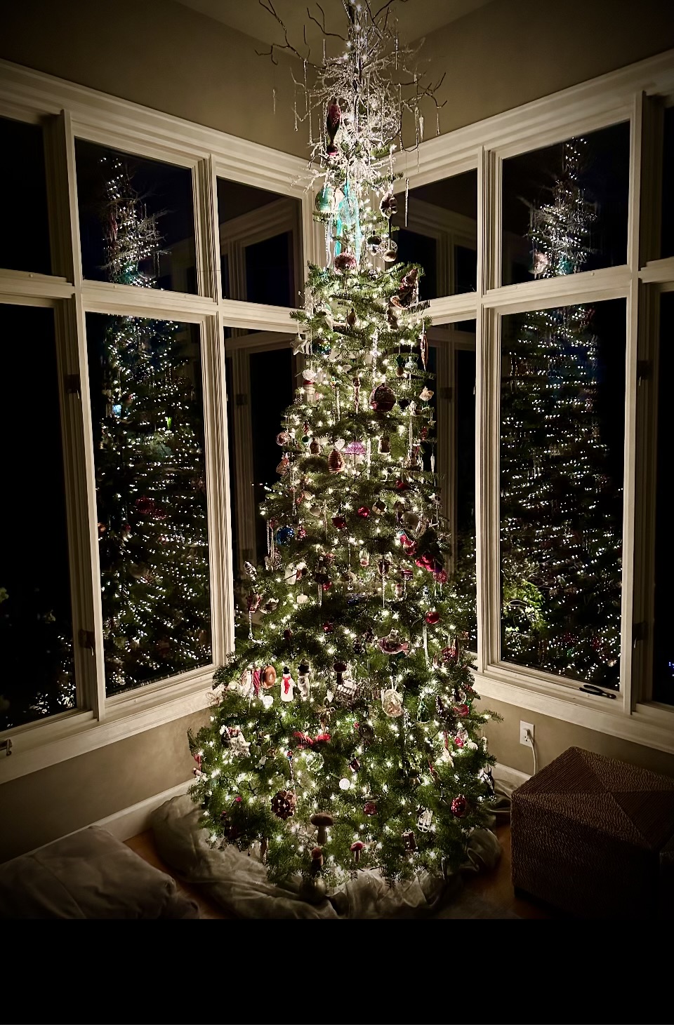 Real Oregon Christmas trees