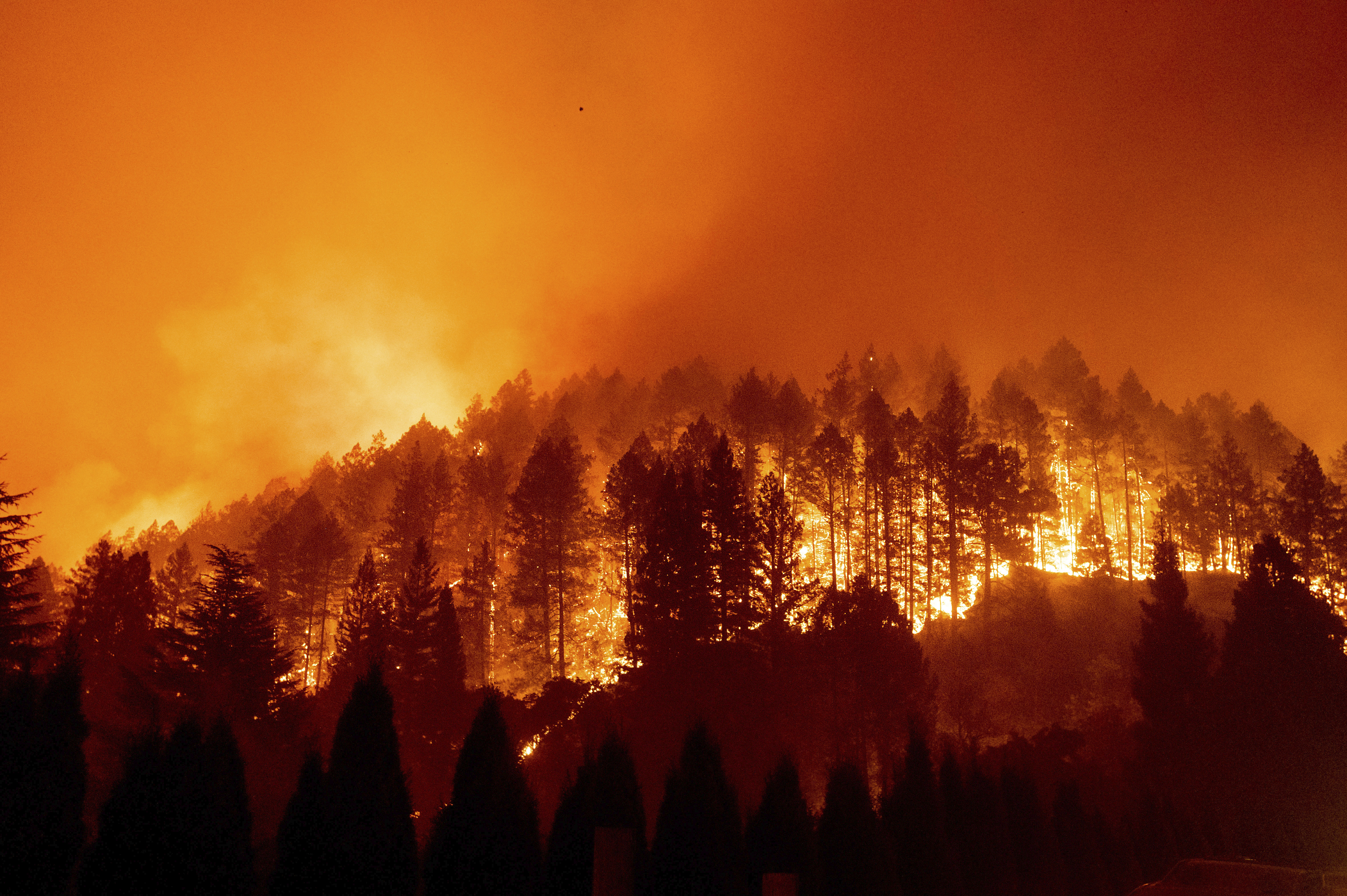 Огни пожарищ. Лесные пожары в Калифорнии 2021. Лесные пожары в Калифорнии 2020. П Лесной. Лес в огне.