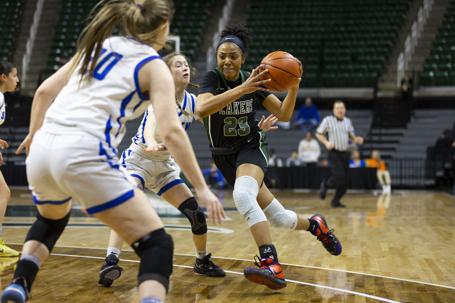 See photos as West Bloomfield wins Division 1 MHSAA Girls Basketball