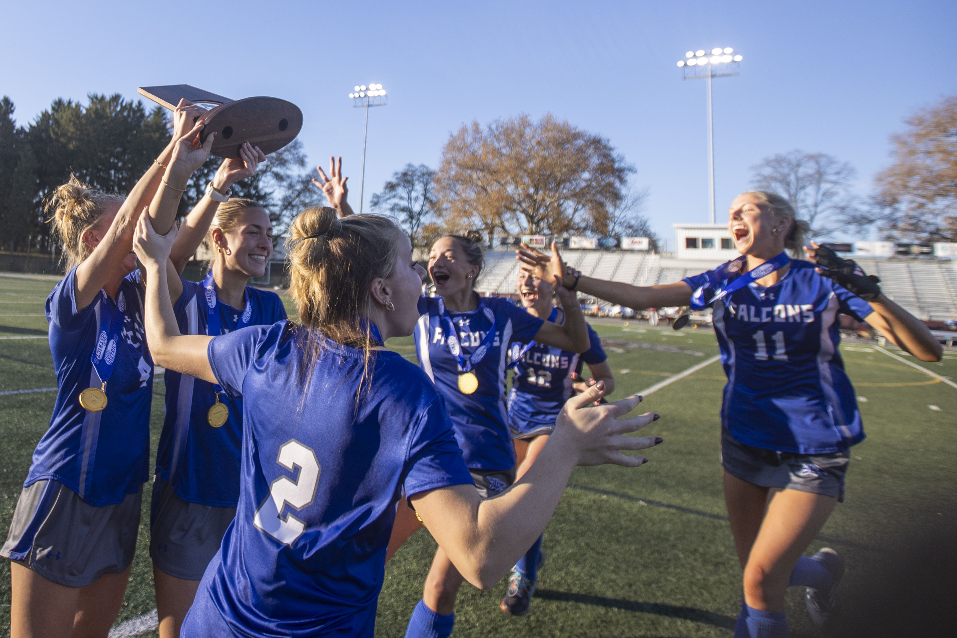 Lower Dauphin v. Manheim Township PIAA district 3 championship 11/2/24 ...