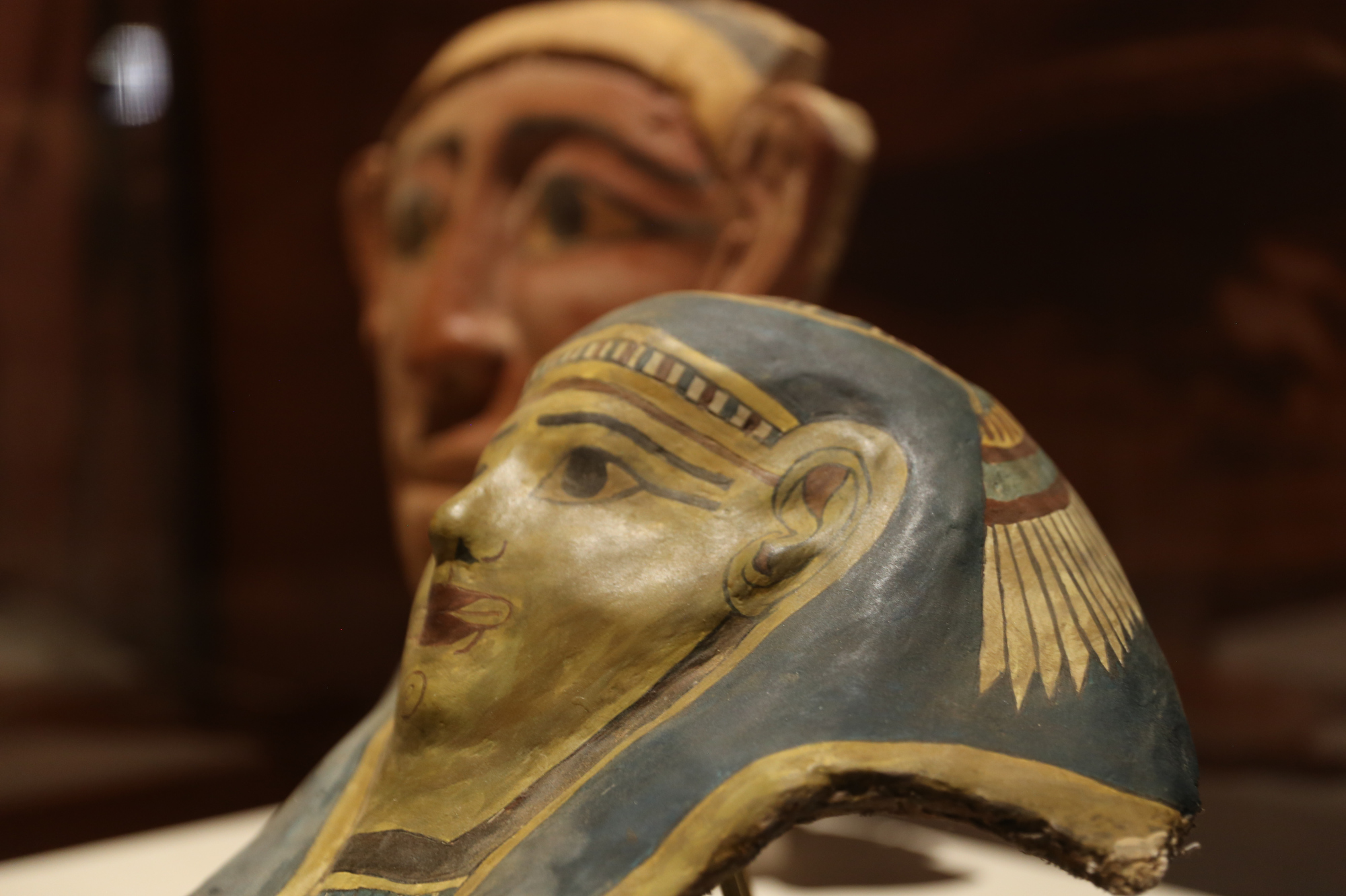 Mummies of the World on display at the Corner Gallery - cleveland.com