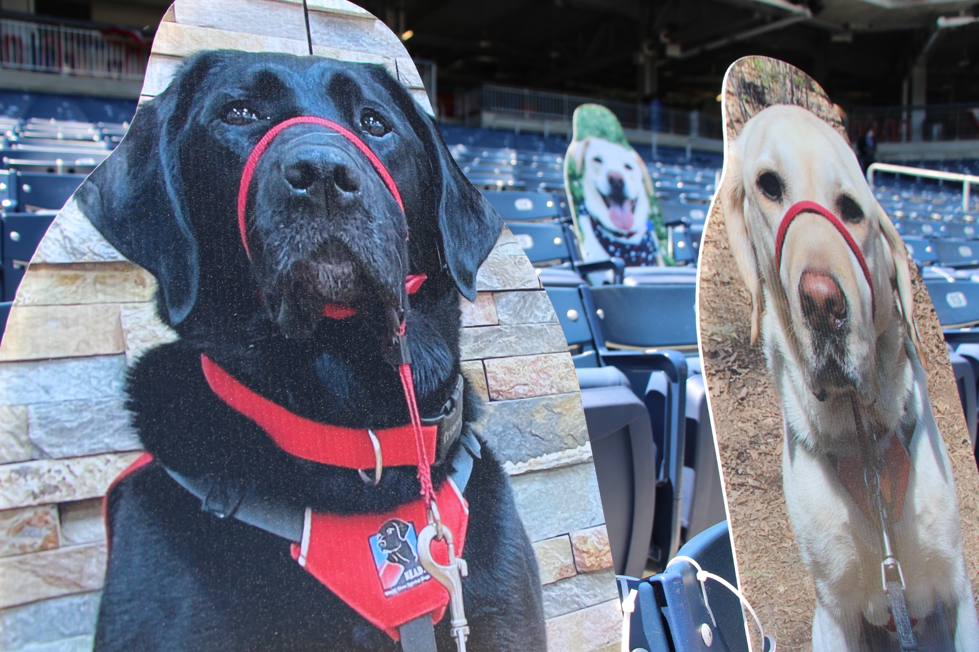 WORCESTER, MA - APRIL 27: Woofster (left), the official rescue dog of WooSox  mascot Smiley Ball (right) poses for a photo with Smiley Ball prior to a  AAA MiLB game between the