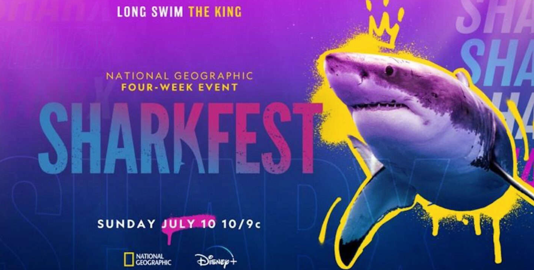 Sharks on NBCS on X: It's going to be a special day celebrating