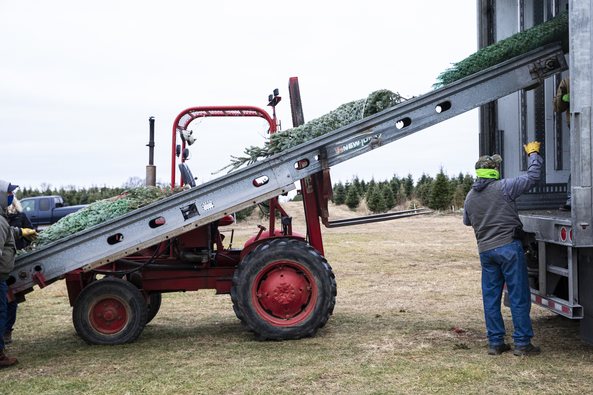 Volunteers gather to load Christmas trees for 'Trees for Troops' campaign