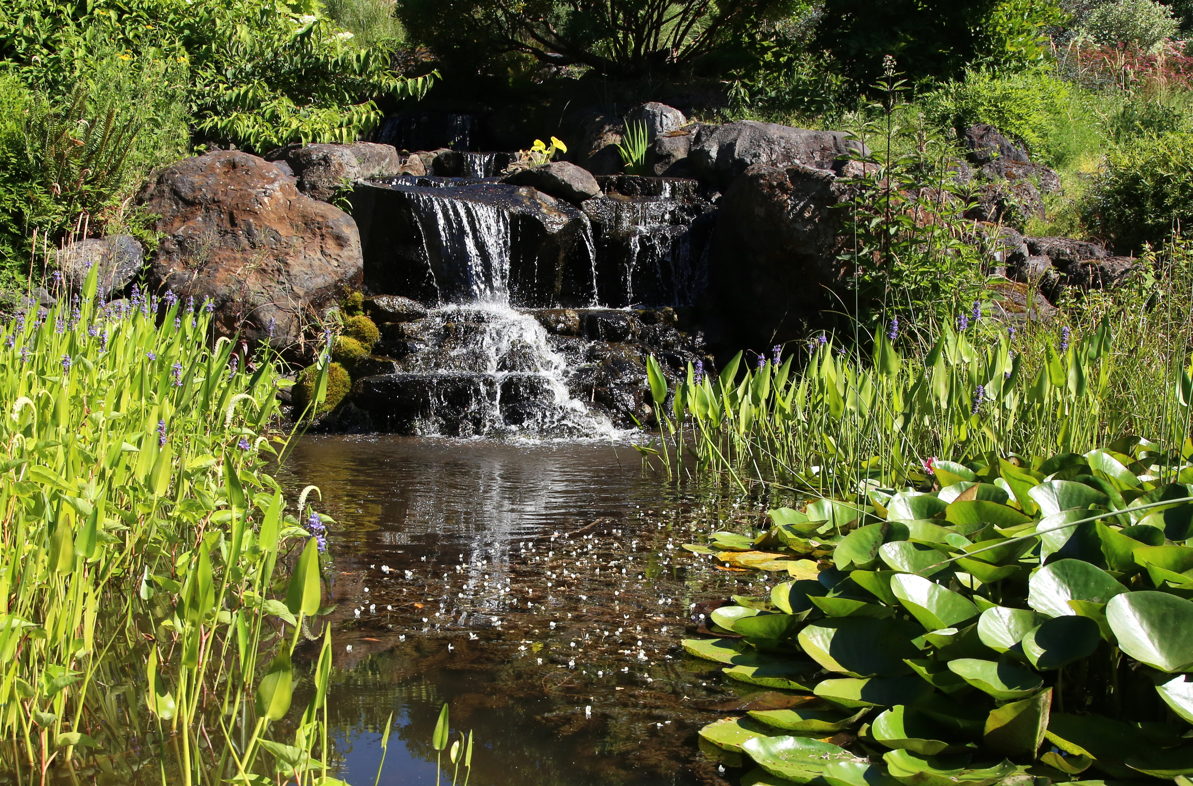 El Jardín de Oregón de Silverton's Oregon Garden
