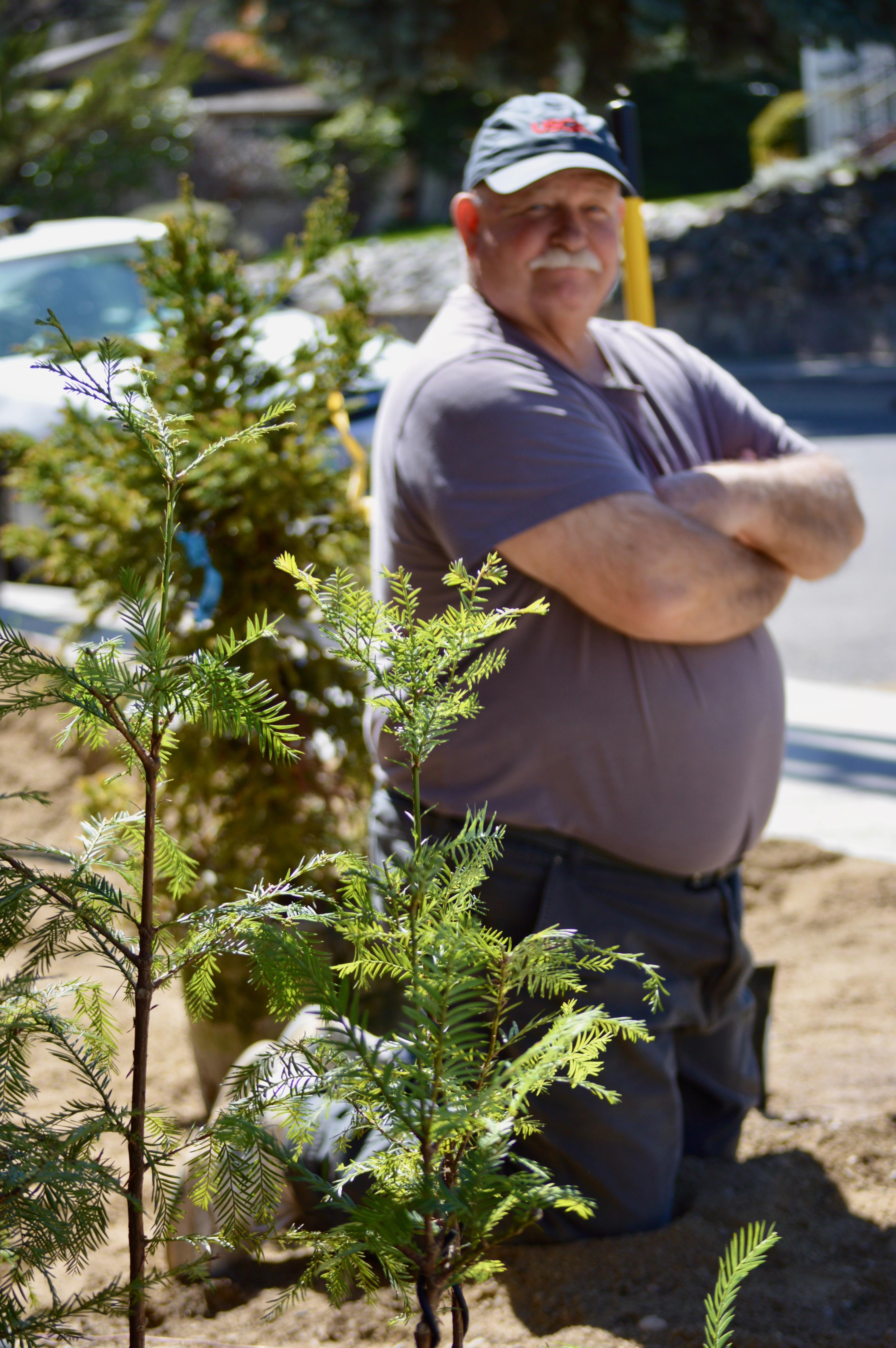 Bonsai landscape designer Lee Cheatle - oregonlive.com