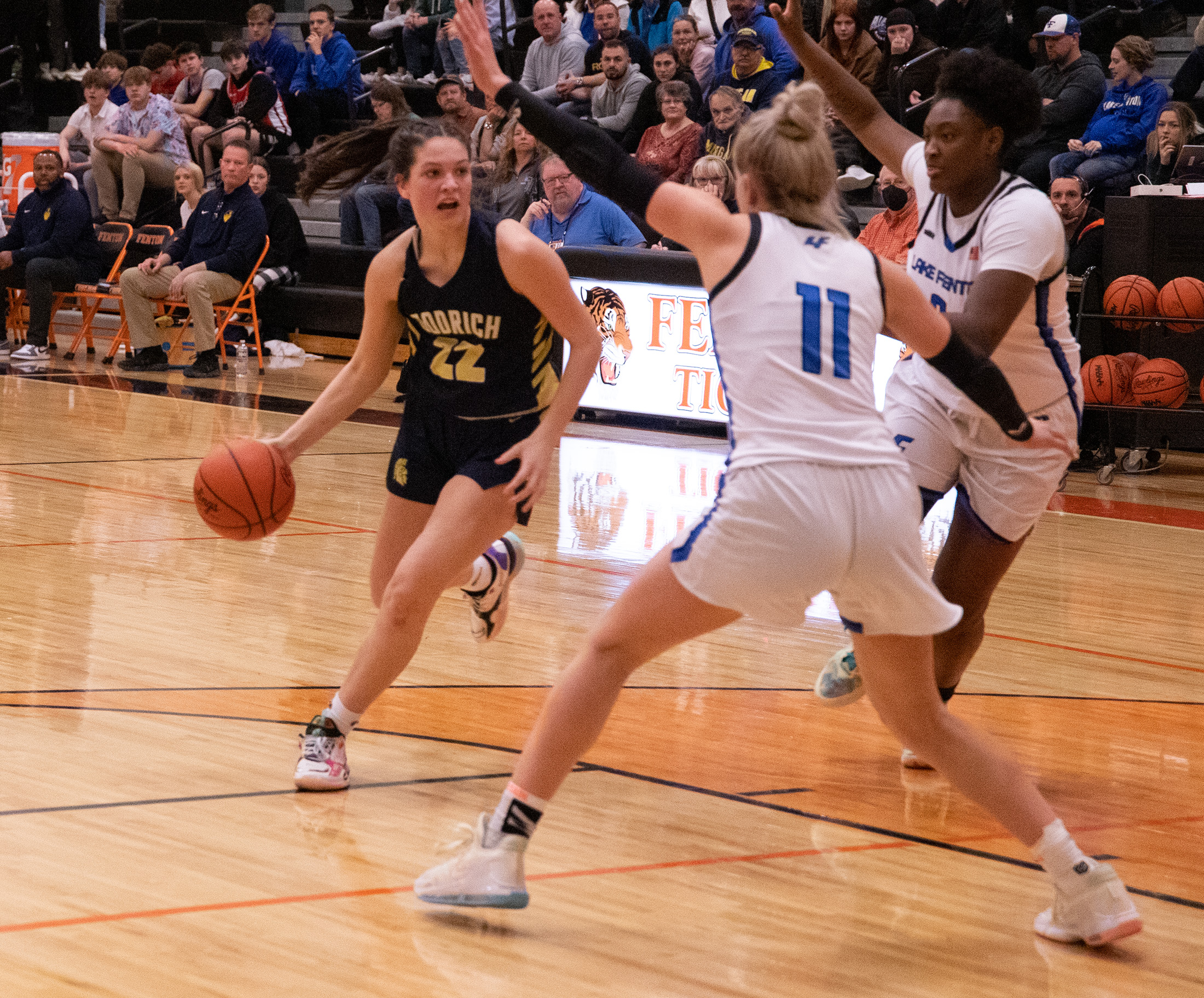 Lake Fenton defeats Goodrich 4138 in the Girls Basketball Metro League Championship game