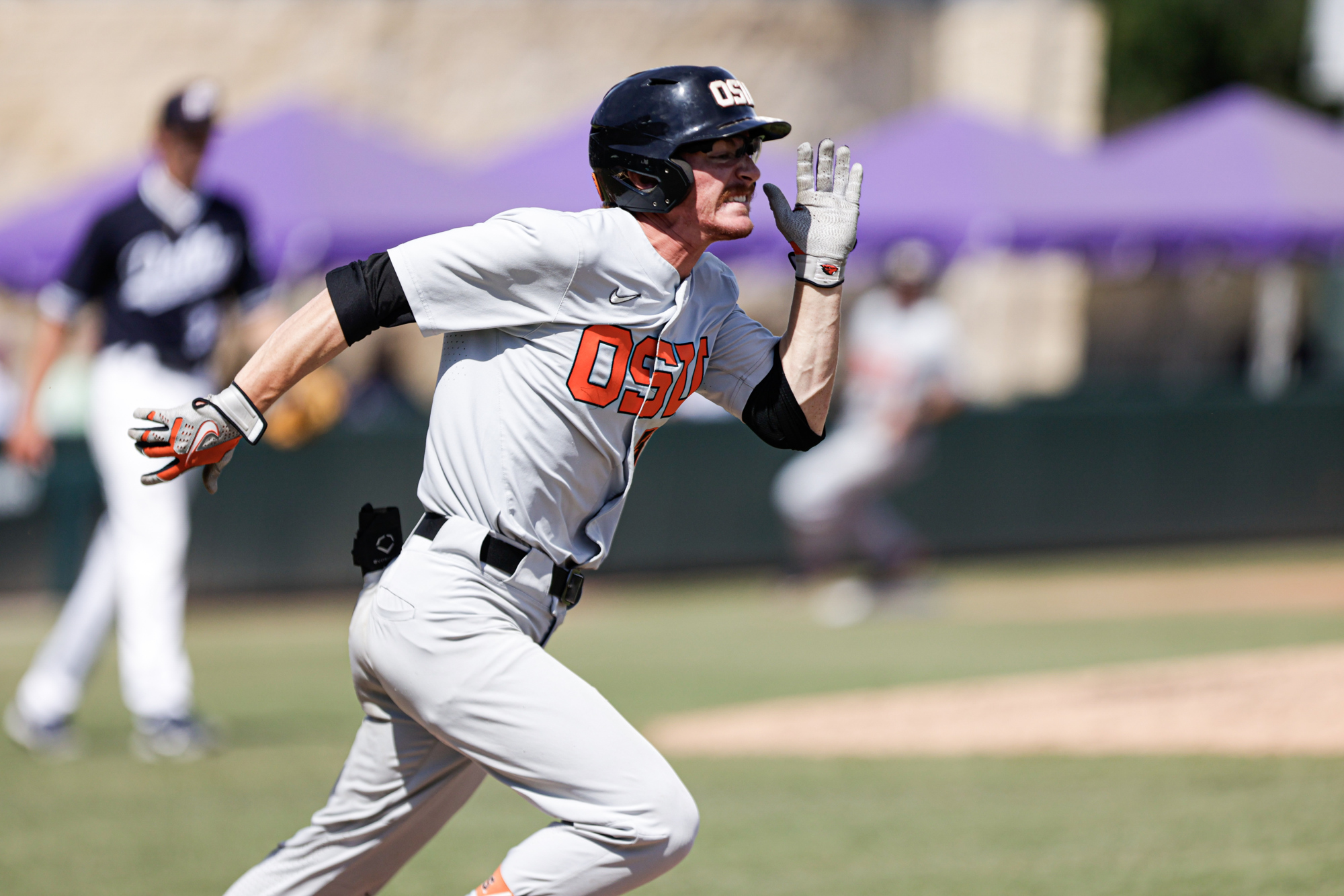 Oregon baseball earns pre-season Top 20 ranking