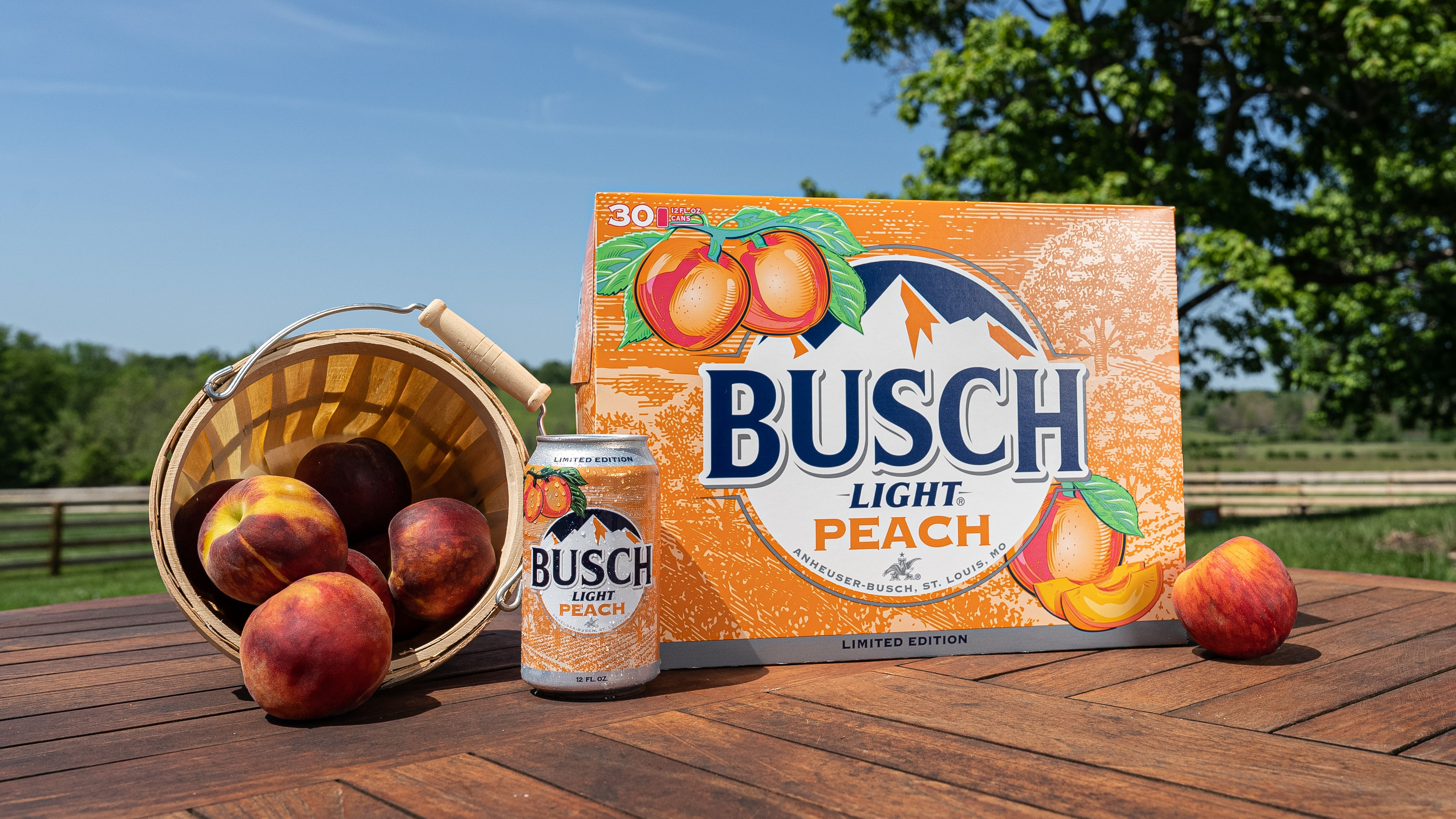 Busch Light drops second seasonal lager flavor and it's just
