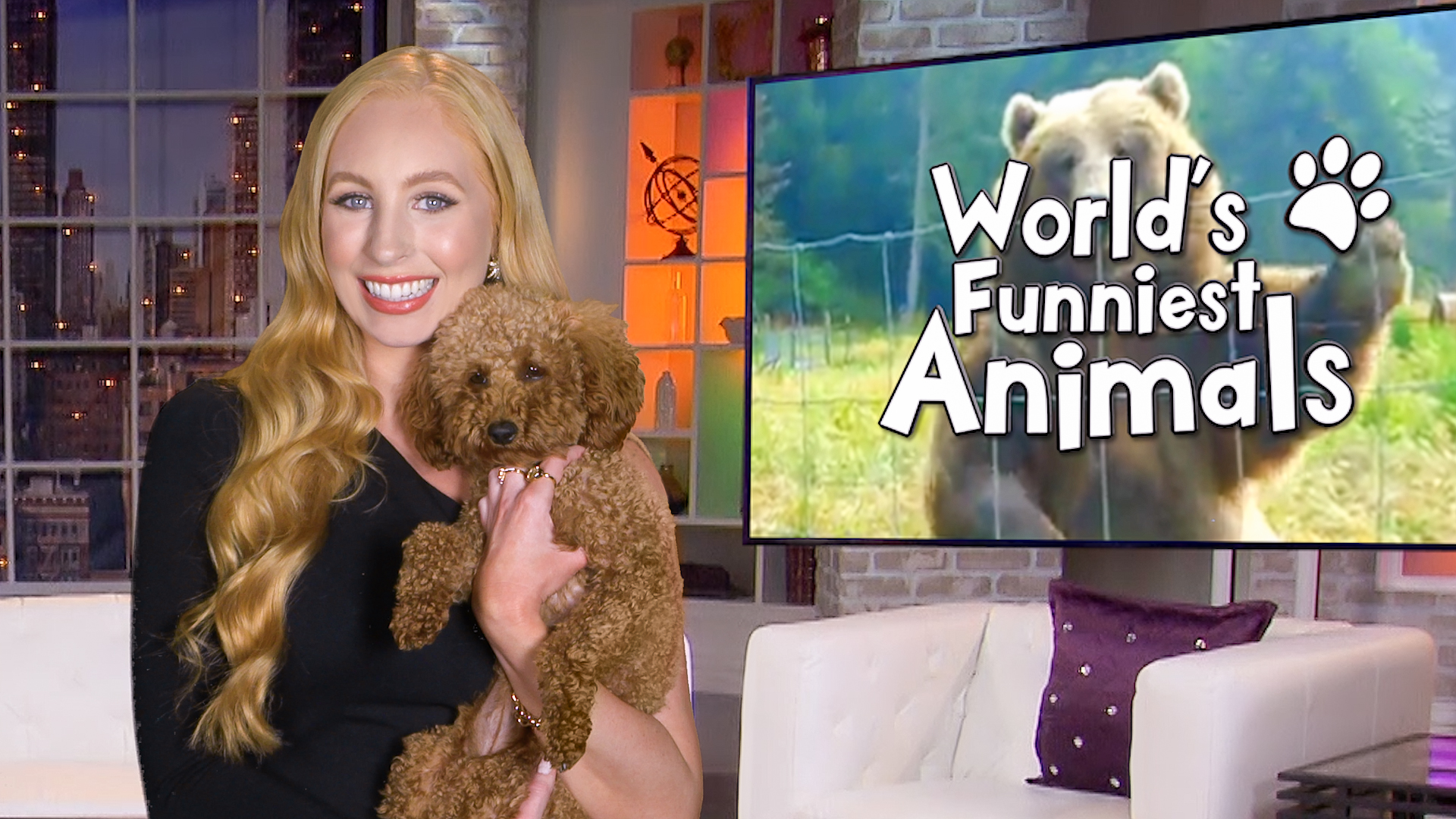 World's Funniest Animals' | How to watch, live stream, TV channel, time -  