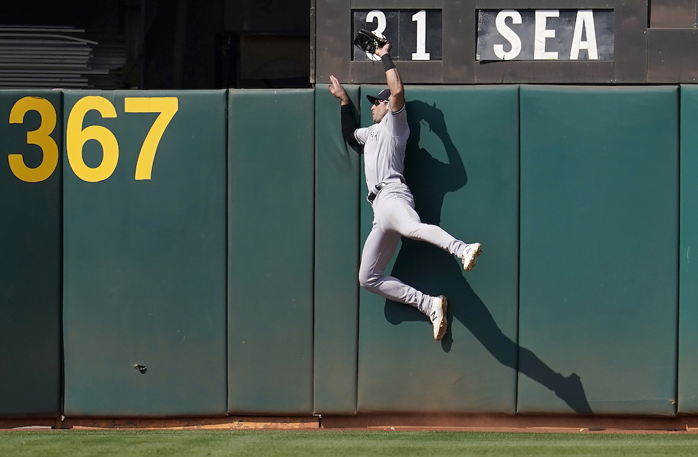 Gold Glove Finalist: Joey Gallo, Congrats to Joey Gallo on being named a  Rawlings Gold Glove finalist!