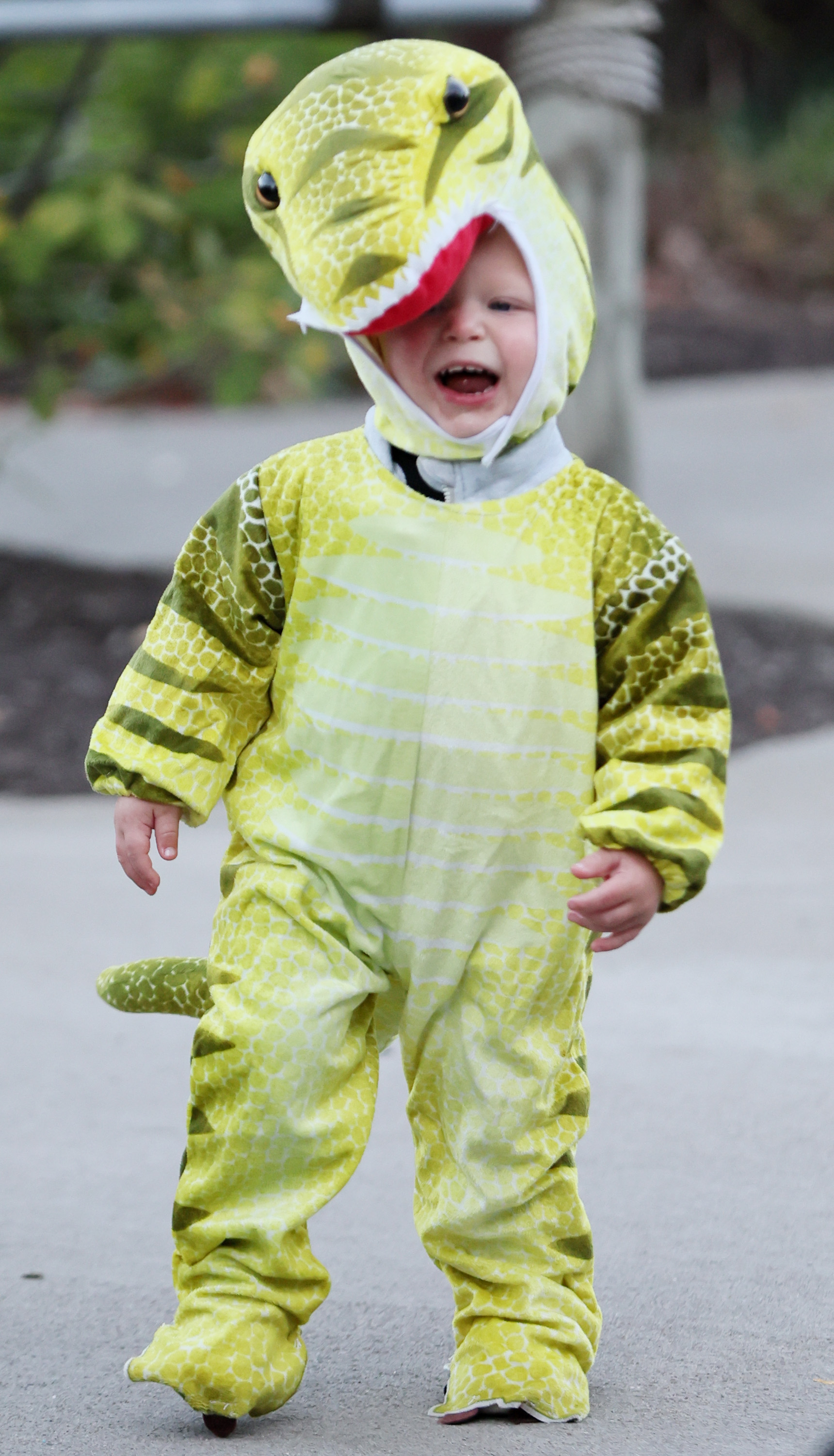 Boo at the Zoo returns to Cleveland Metroparks Zoo, October 9, 2025 ...
