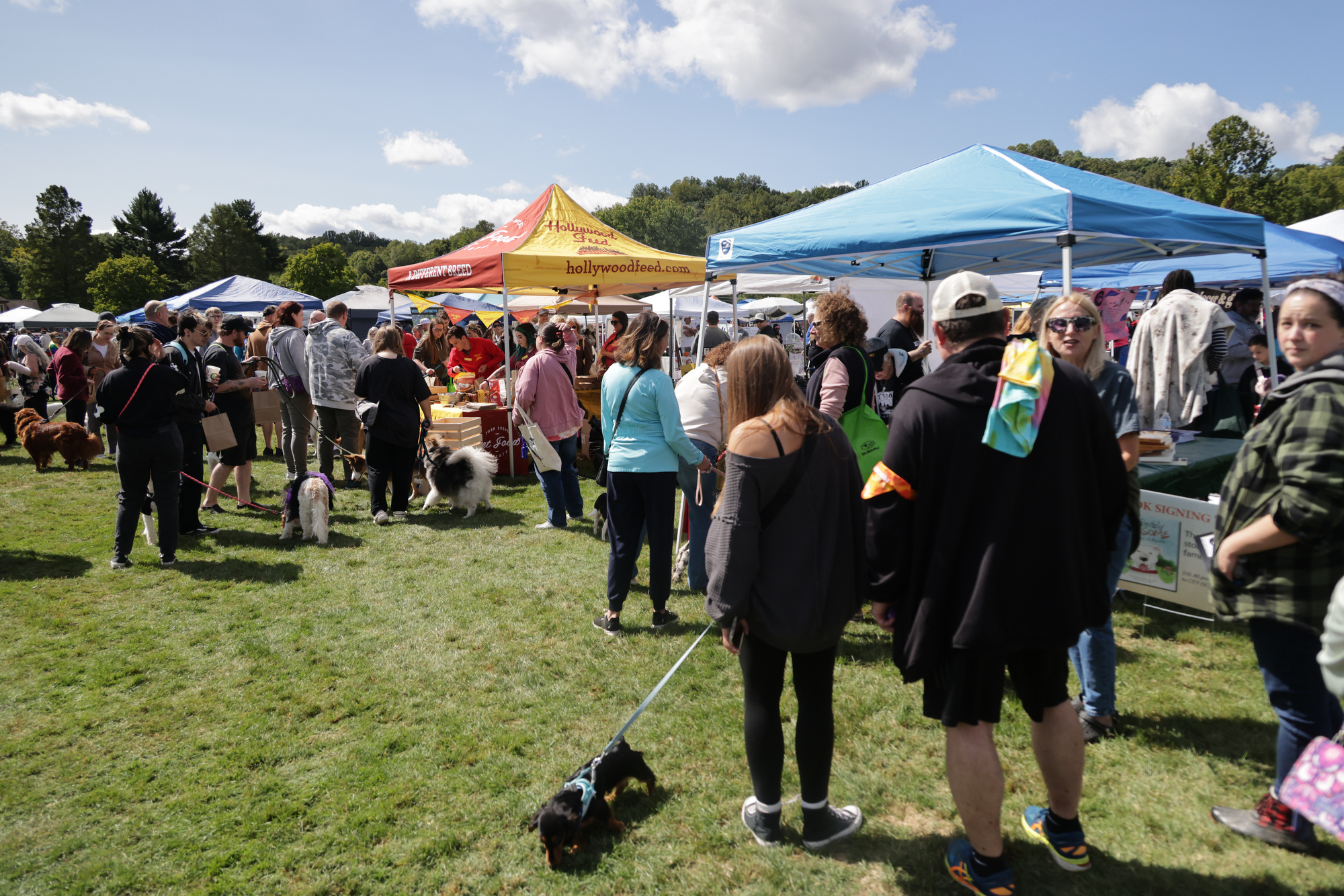 Woofstock 2024 in Chagrin Falls - cleveland.com