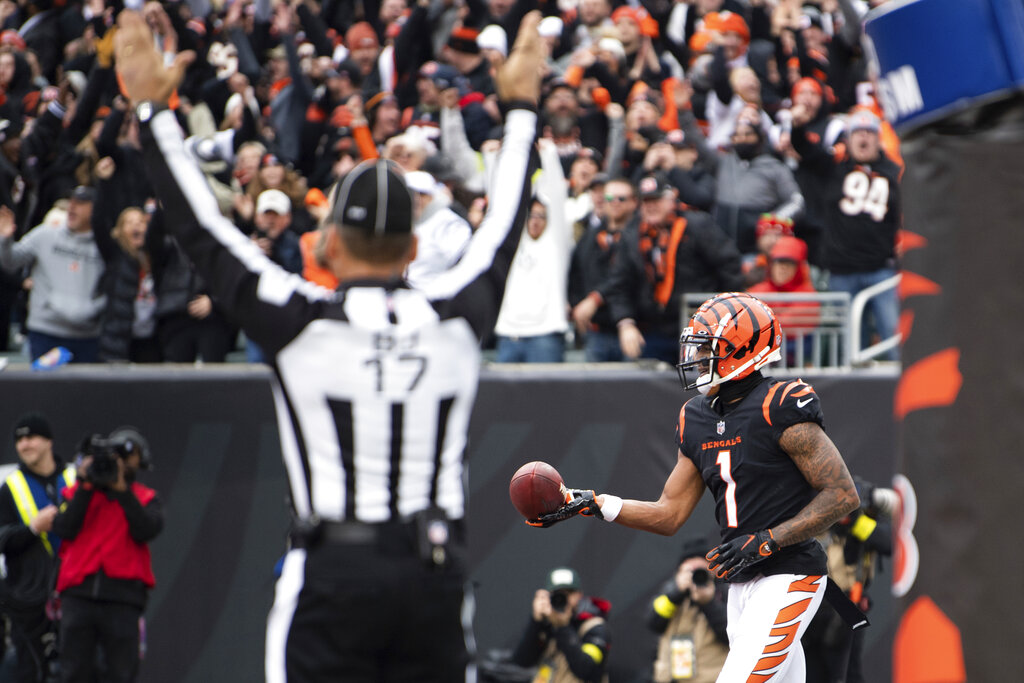 Cincinnati Bengals wide receiver Trenton Irwin (16) celebrates his  touchdown in the second half during an NFL football game against the  Cleveland Browns, Sunday, Dec. 11, 2022, in Cincinnati. (AP Photo/Emilee  Chinn