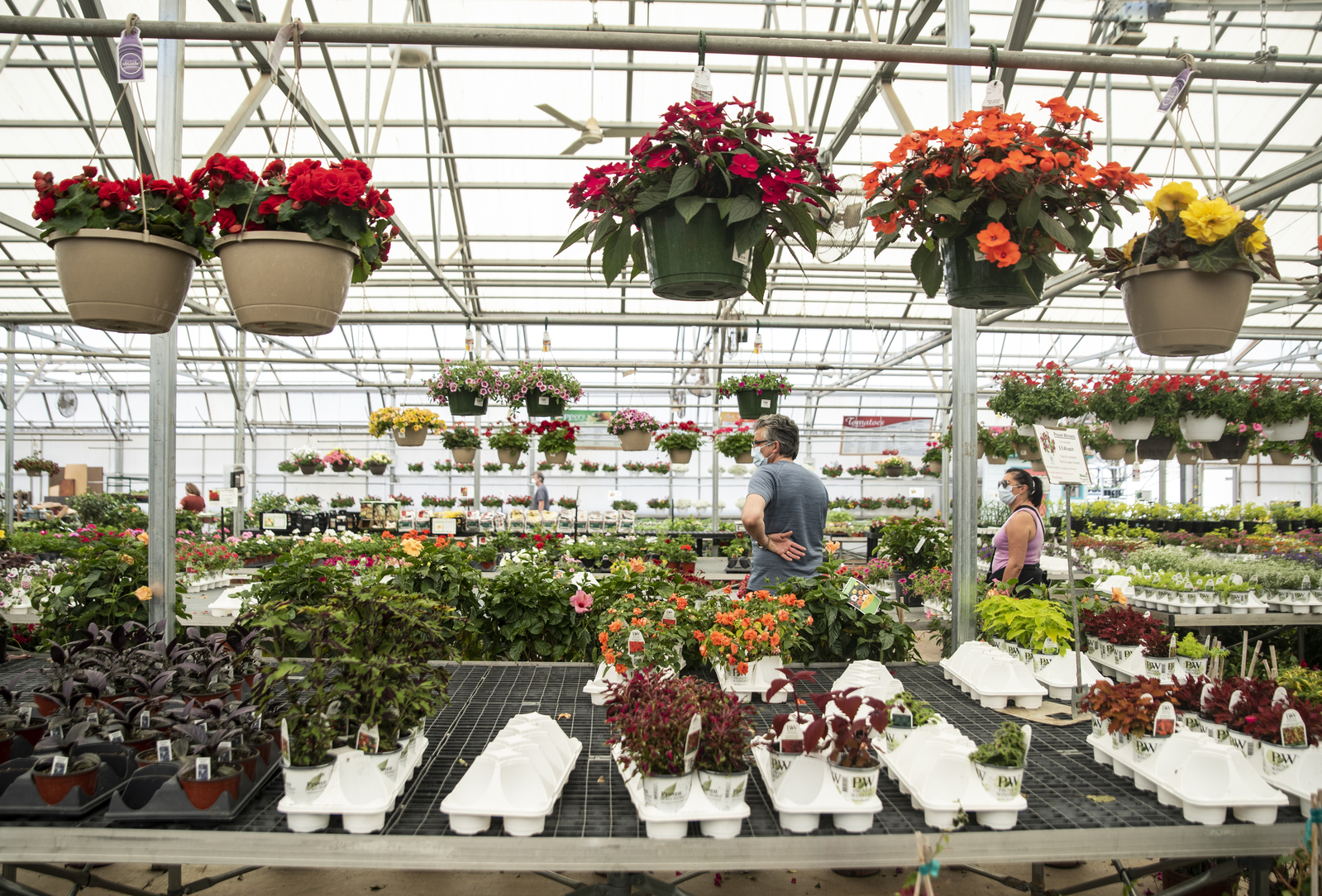 Wedel S Nursery Florist And Garden Center
