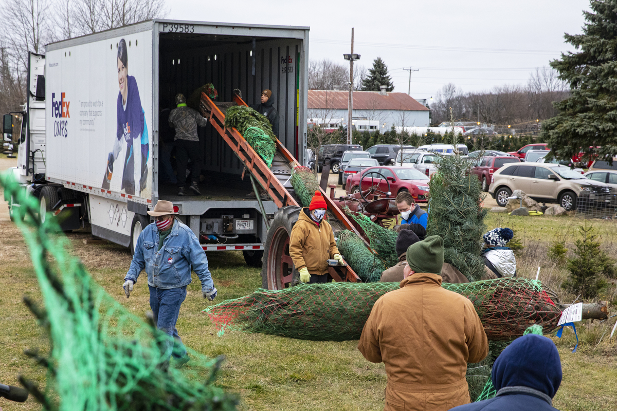 Volunteers gather to load Christmas trees for 'Trees for Troops