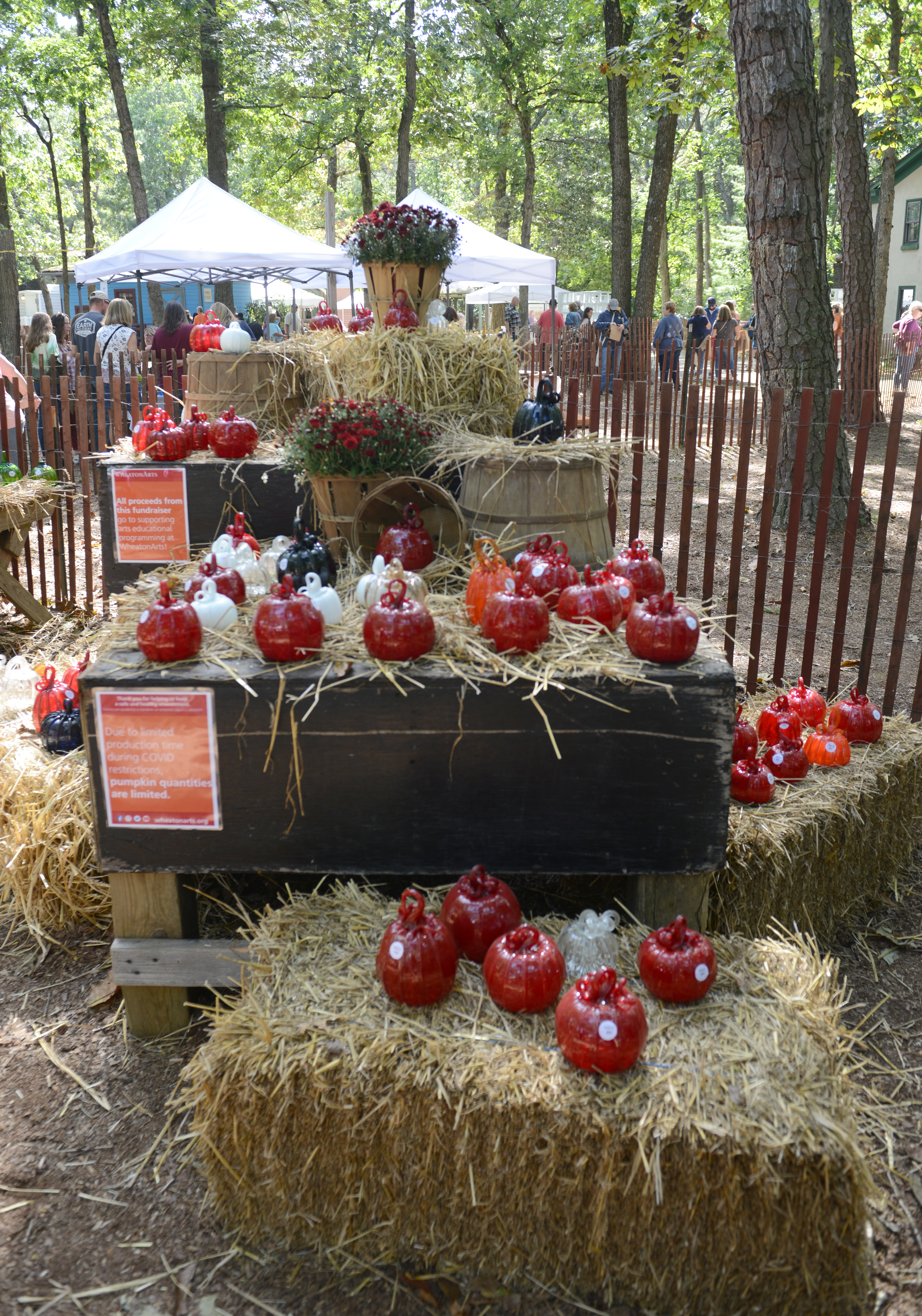 Handcrafted glass pumpkins are display in the glass pumpkin patch during the 22nd annual Festival of Fine Craft at Wheaton Arts in Millville, Saturday, Oct. 2, 2021.