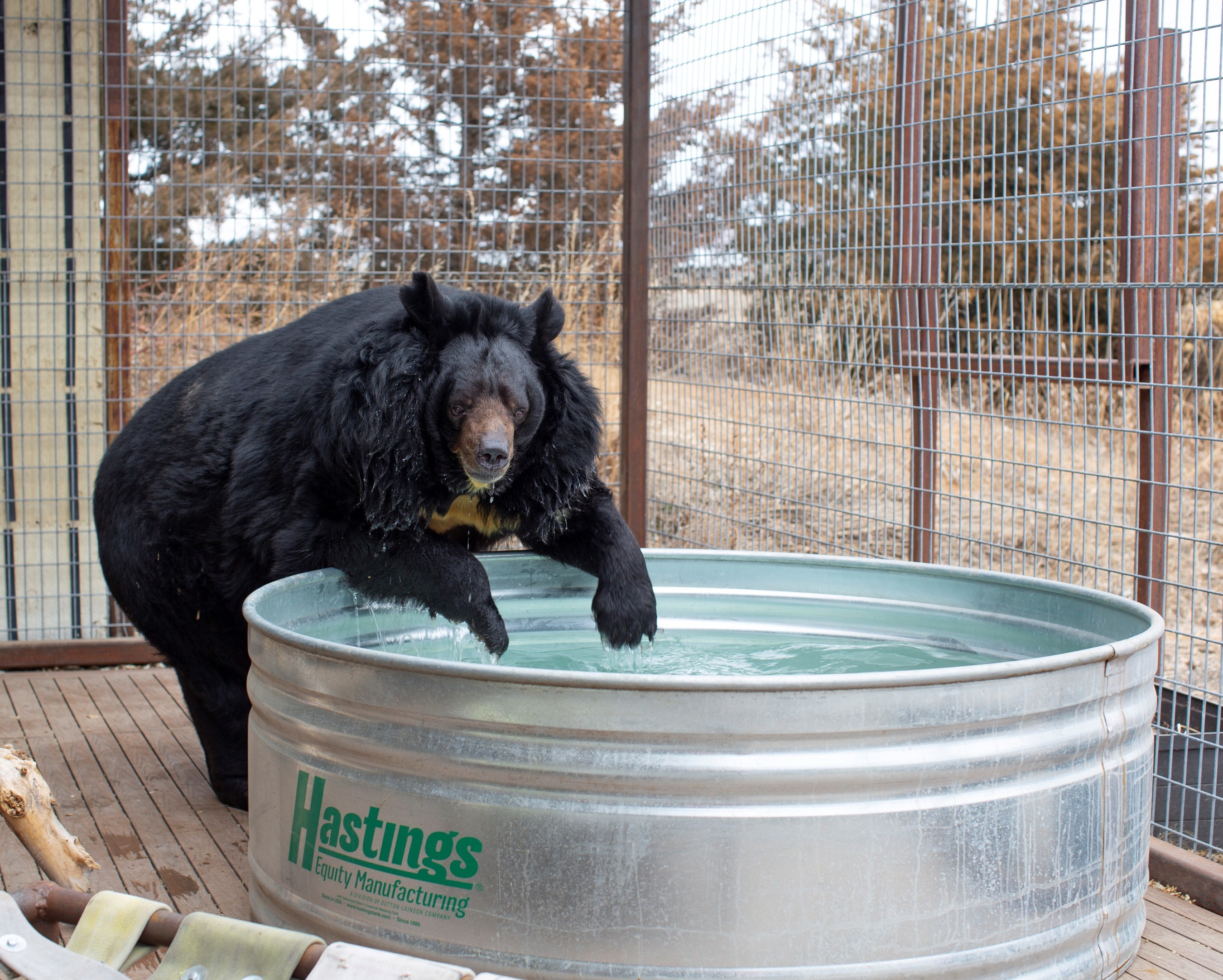 Chewing the fat at the park – The Denver Post