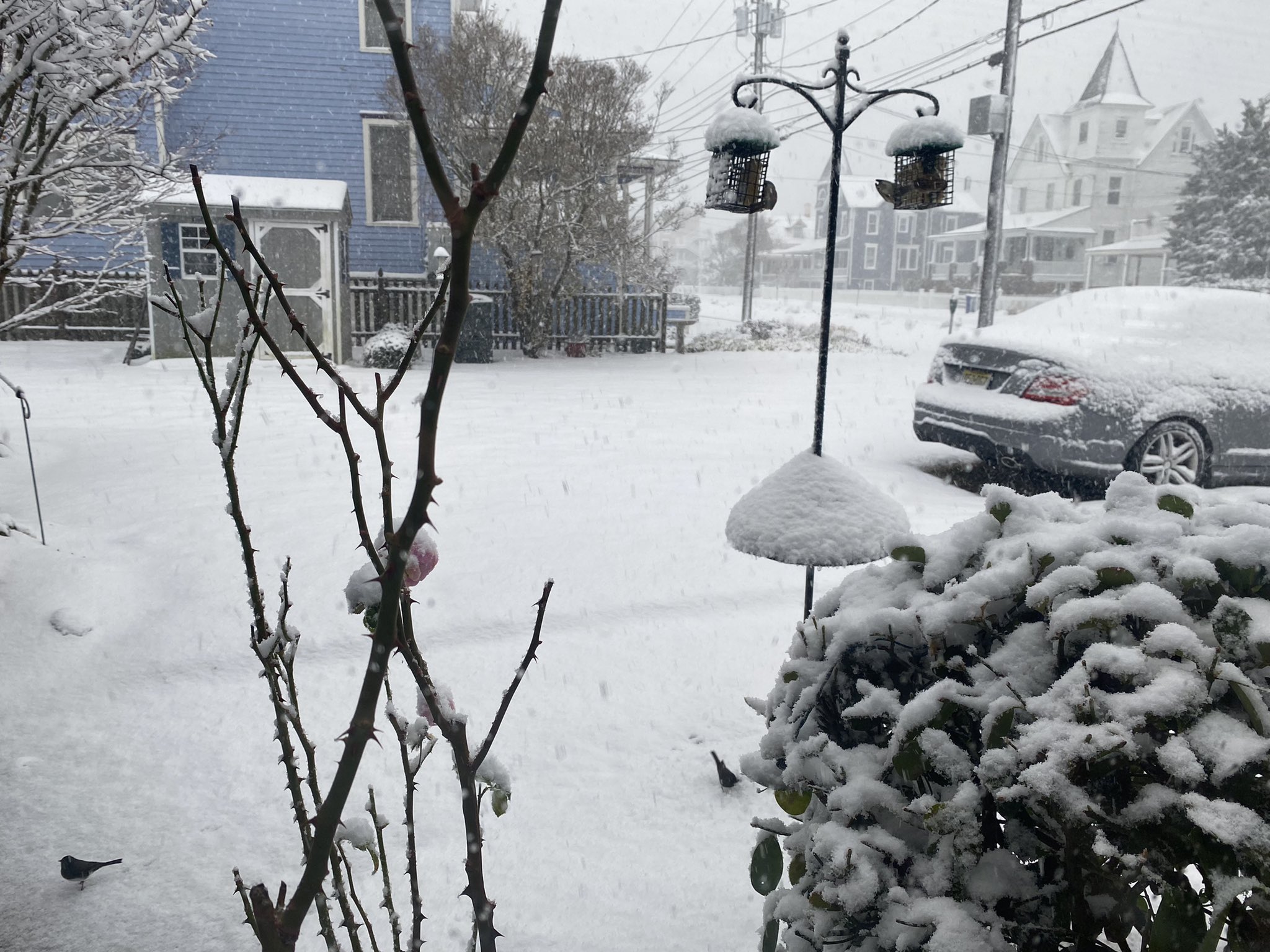 El Niño and its Impact on Winter in New Jersey - Norcast