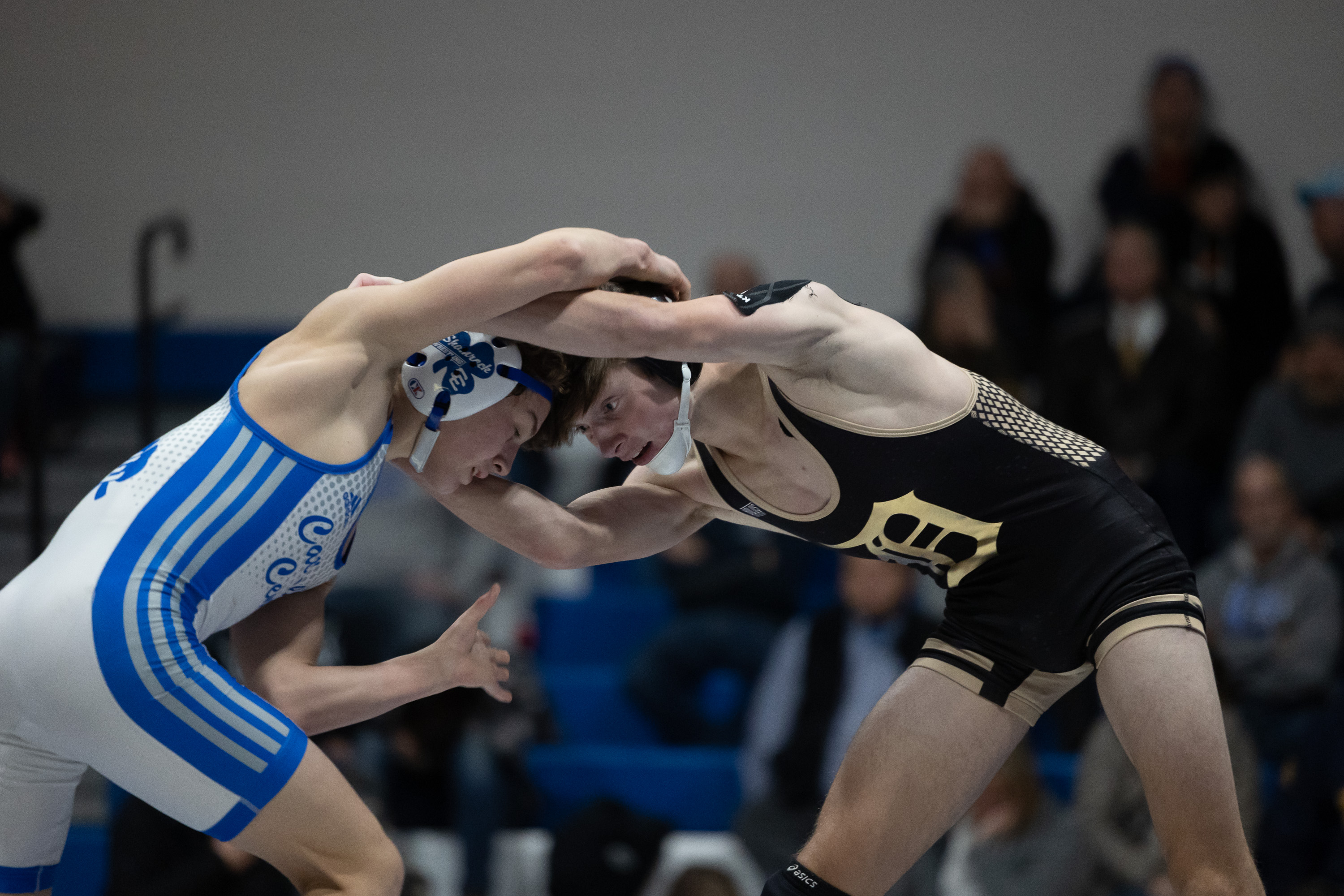 Detroit Catholic Central hosts Davison for boys wrestling - mlive.com