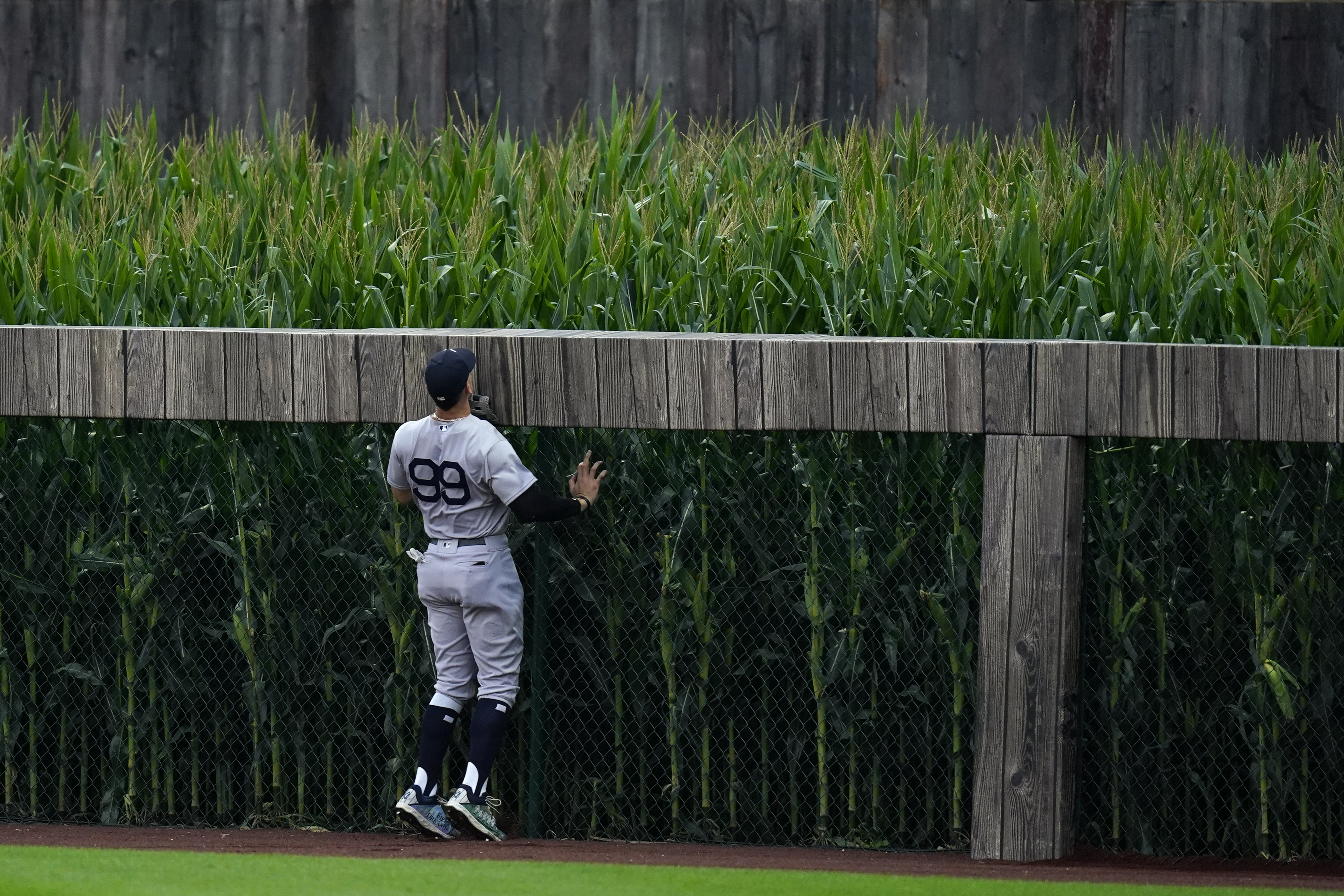 Tim Anderson hits walk-off home run at Field of Dreams