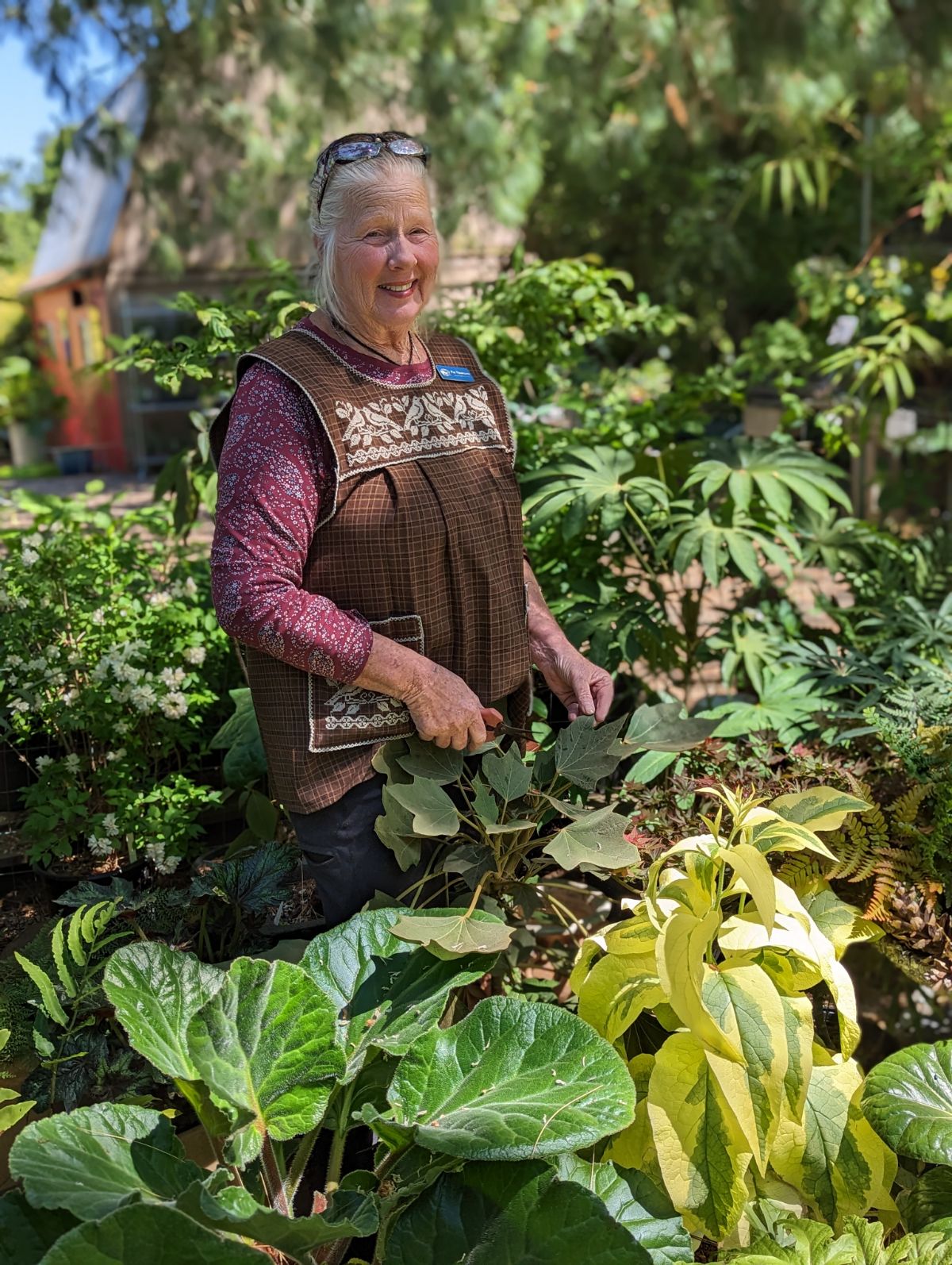 The Secret Garden Growers plant nursery in Canby