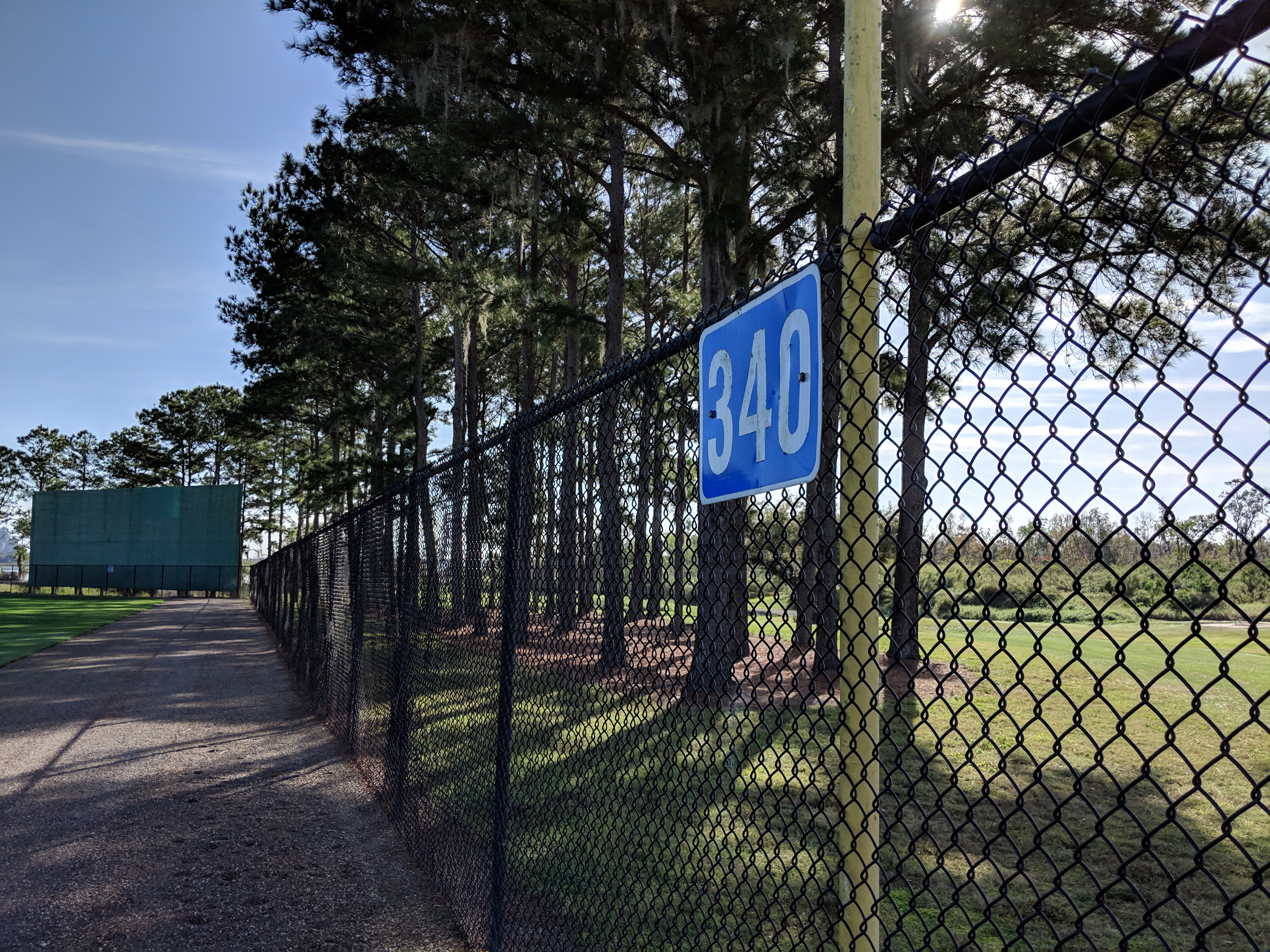 Detroit Tigers open oddest spring training in 'eerily quiet' Lakeland