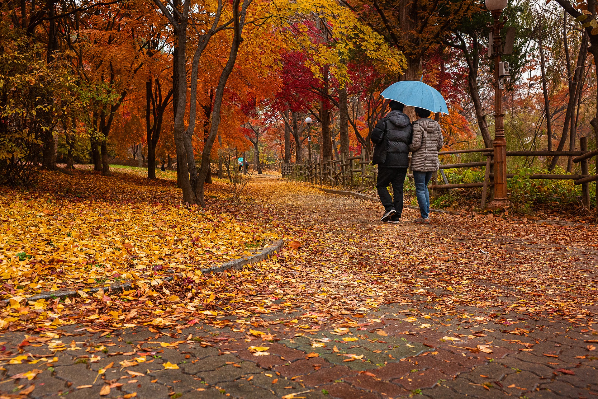 Гулял октябрь. Осенний парк. Пара гуляет в осеннем парке. Осень парк дождь. Осенний парк под зонтом.