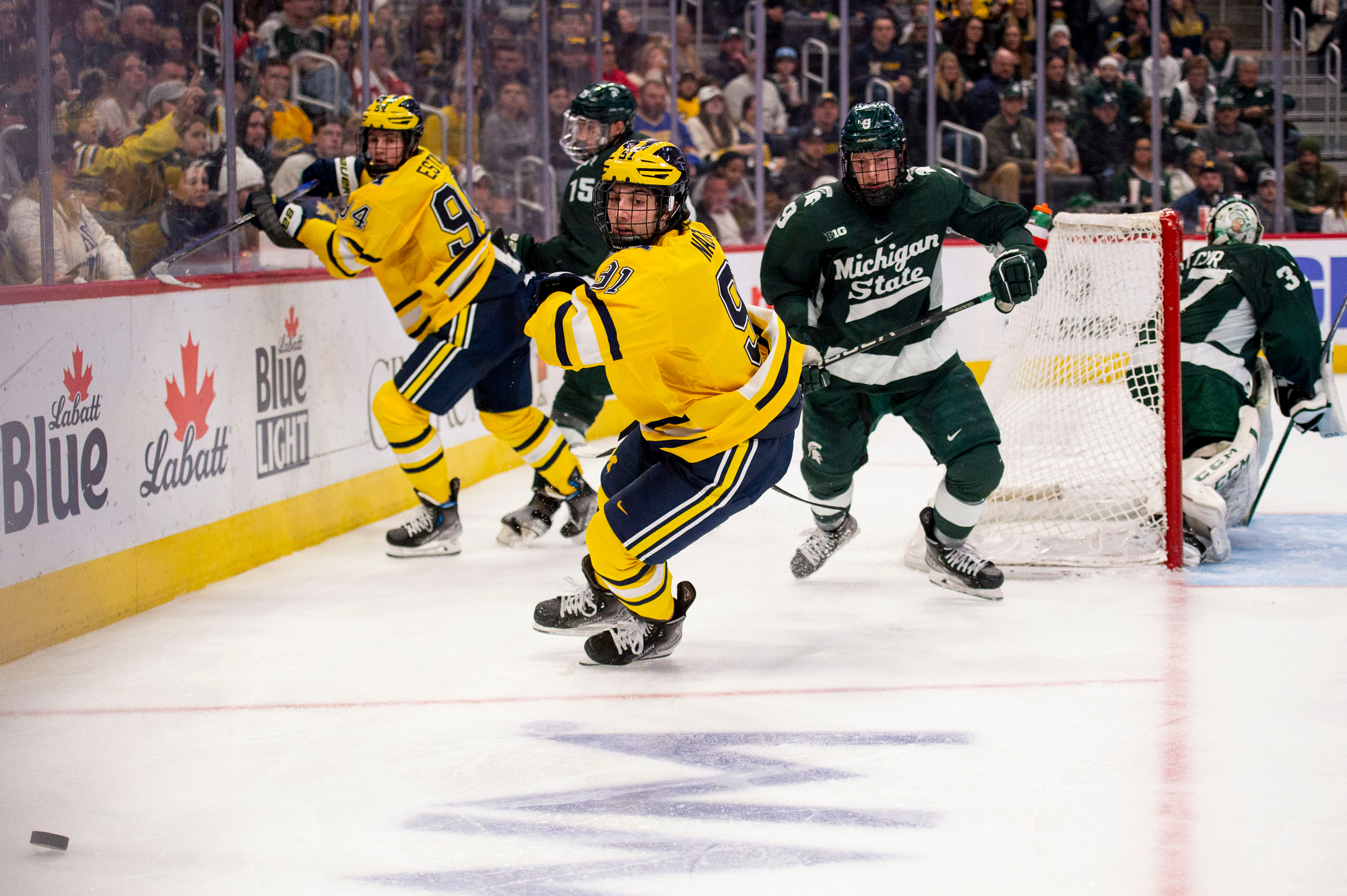 Duel in the D 2023 Michigan vs. Michigan State hockey