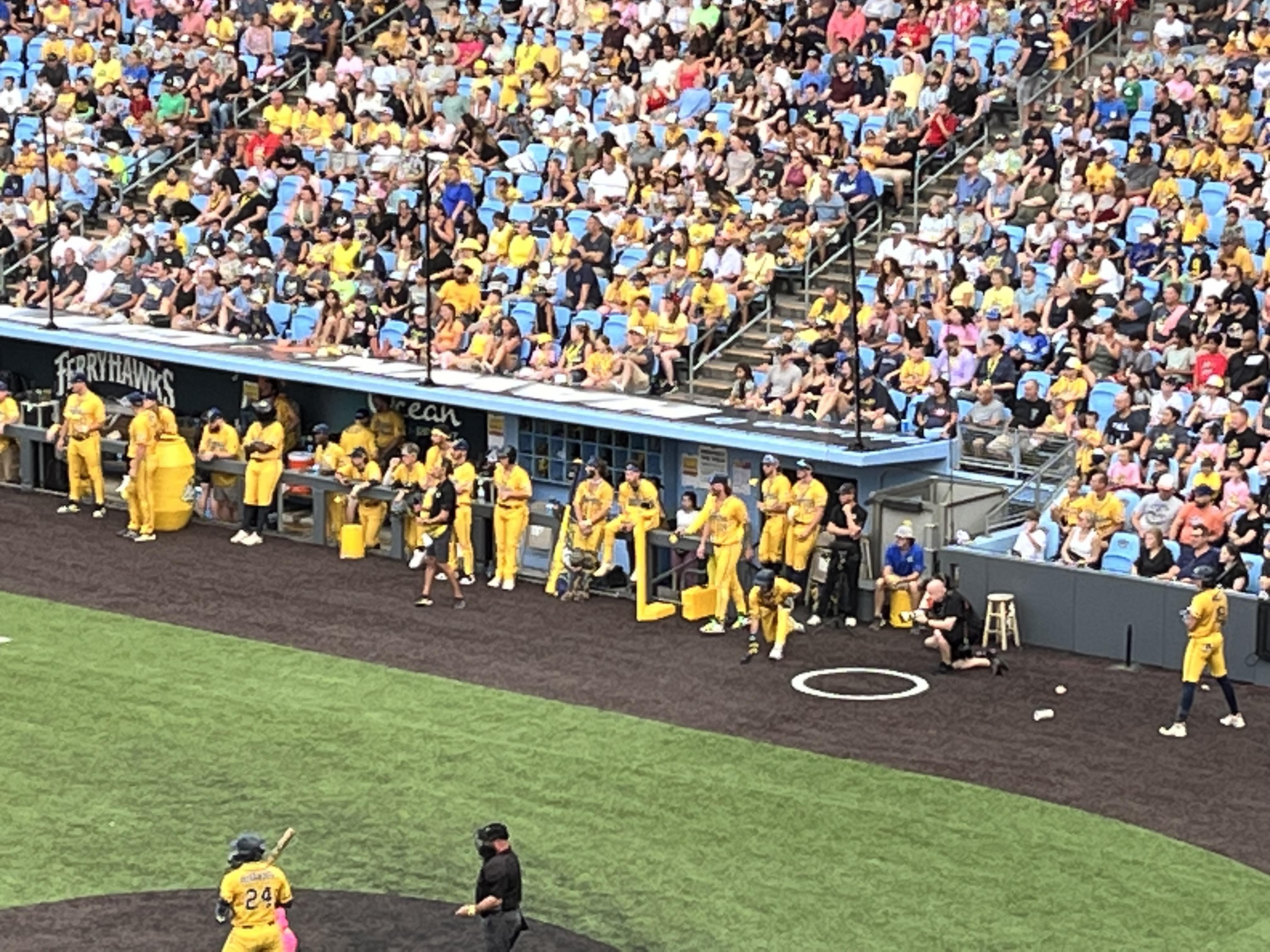 World's quirkiest baseball team, the Savannah Bananas, is headed to  FerryHawks' Community Park 