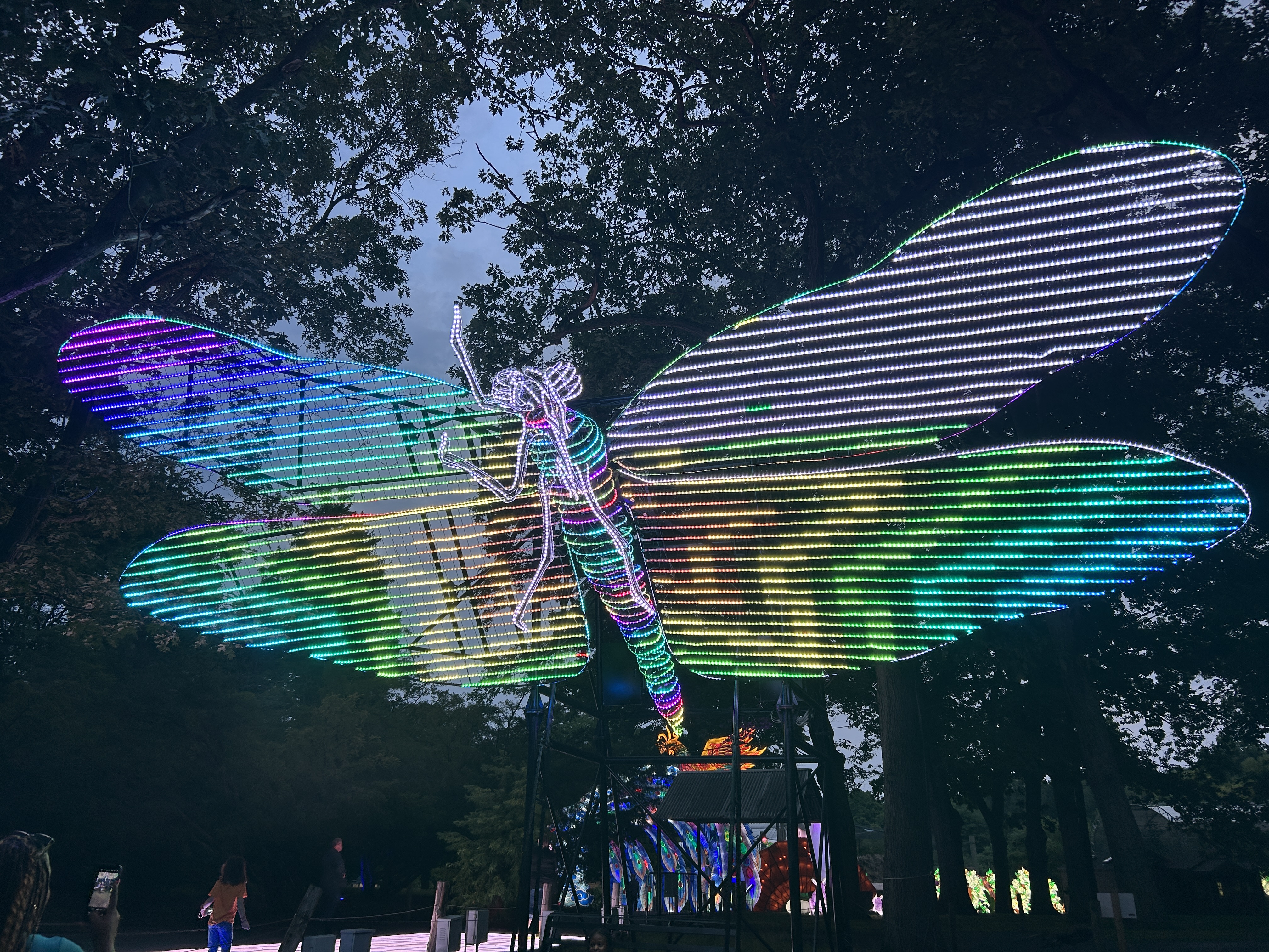 Franklin Park Zoo bedazzled with vibrant displays for 'Boston