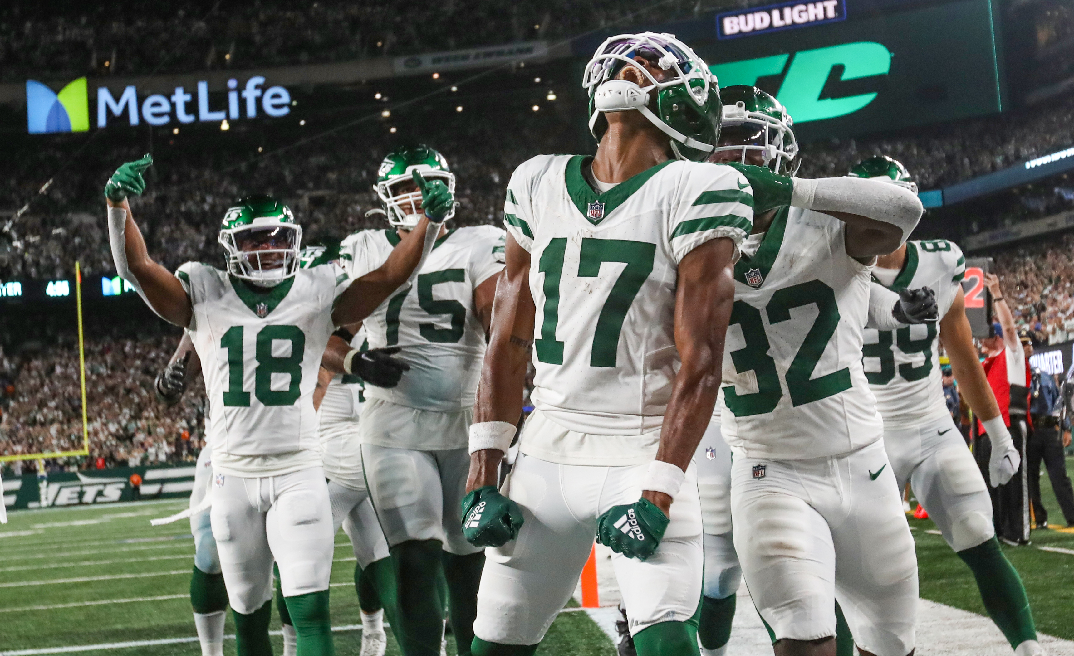 Buffalo Bills wide receiver Steve Johnson reacts after a play