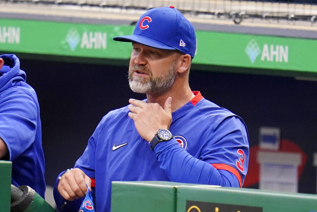 Torrey DeVitto dating Cubs manager David Ross - Chicago Sun-Times