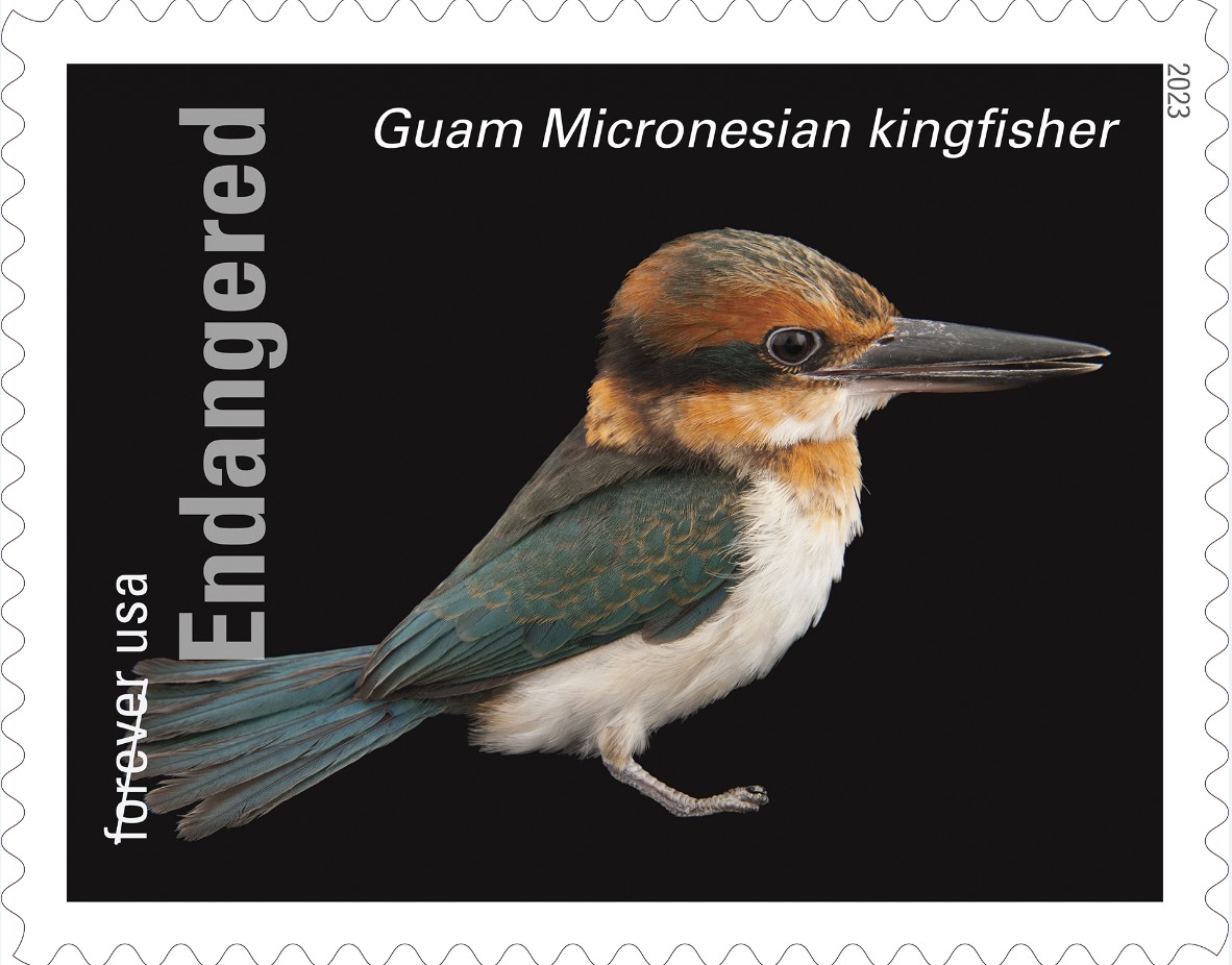 Postal Service Commemorates 50th Anniversary of Endangered Species Act with  New Stamps