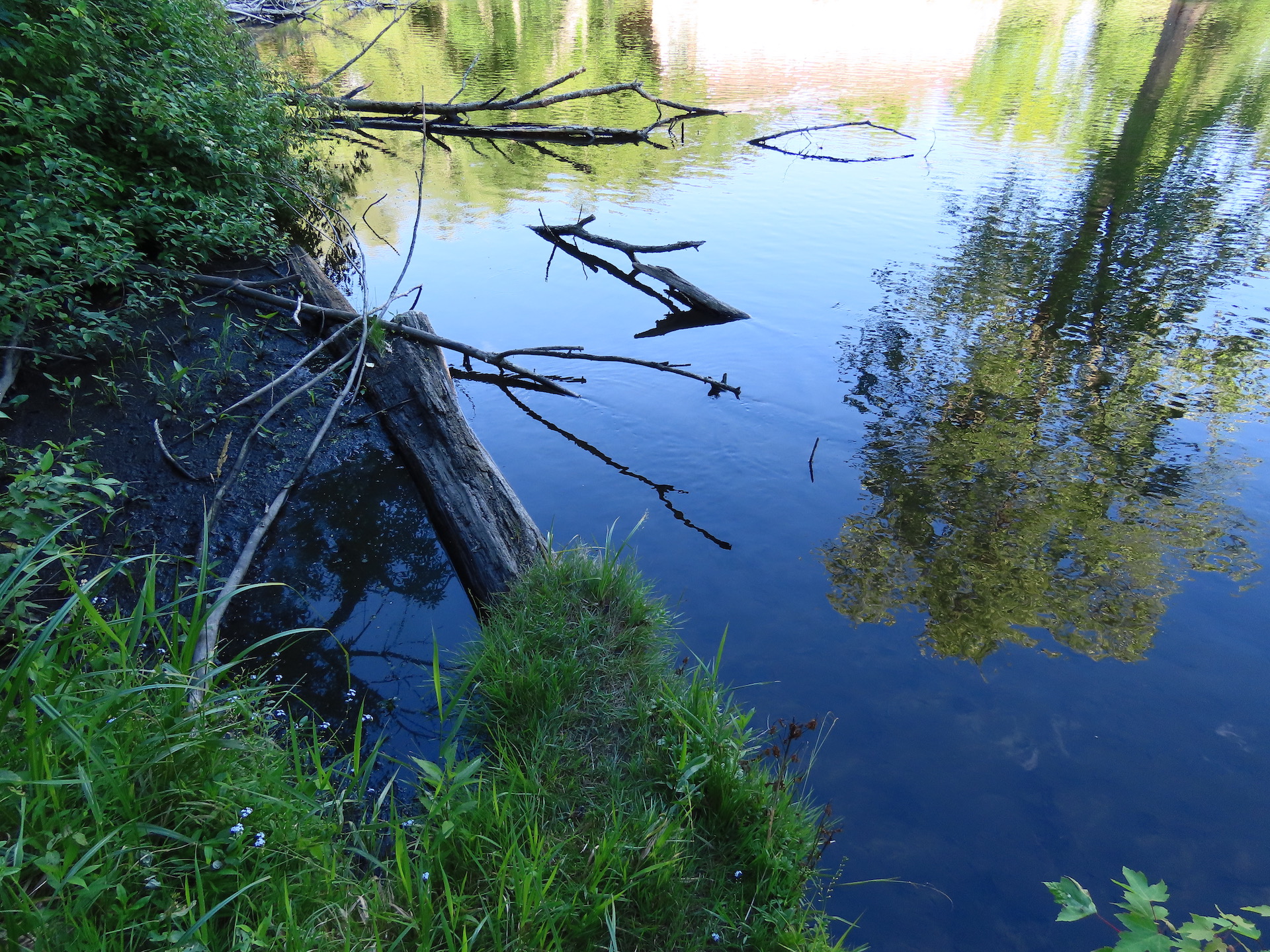 Rogue River PFAS contamination