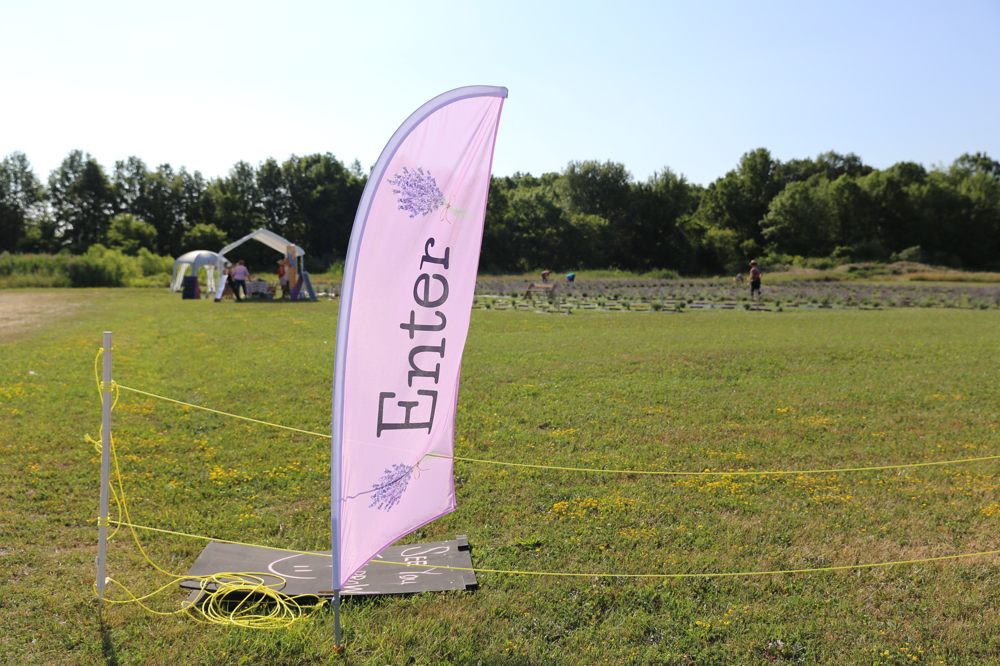 Lavender Trails Farm in Orrville
