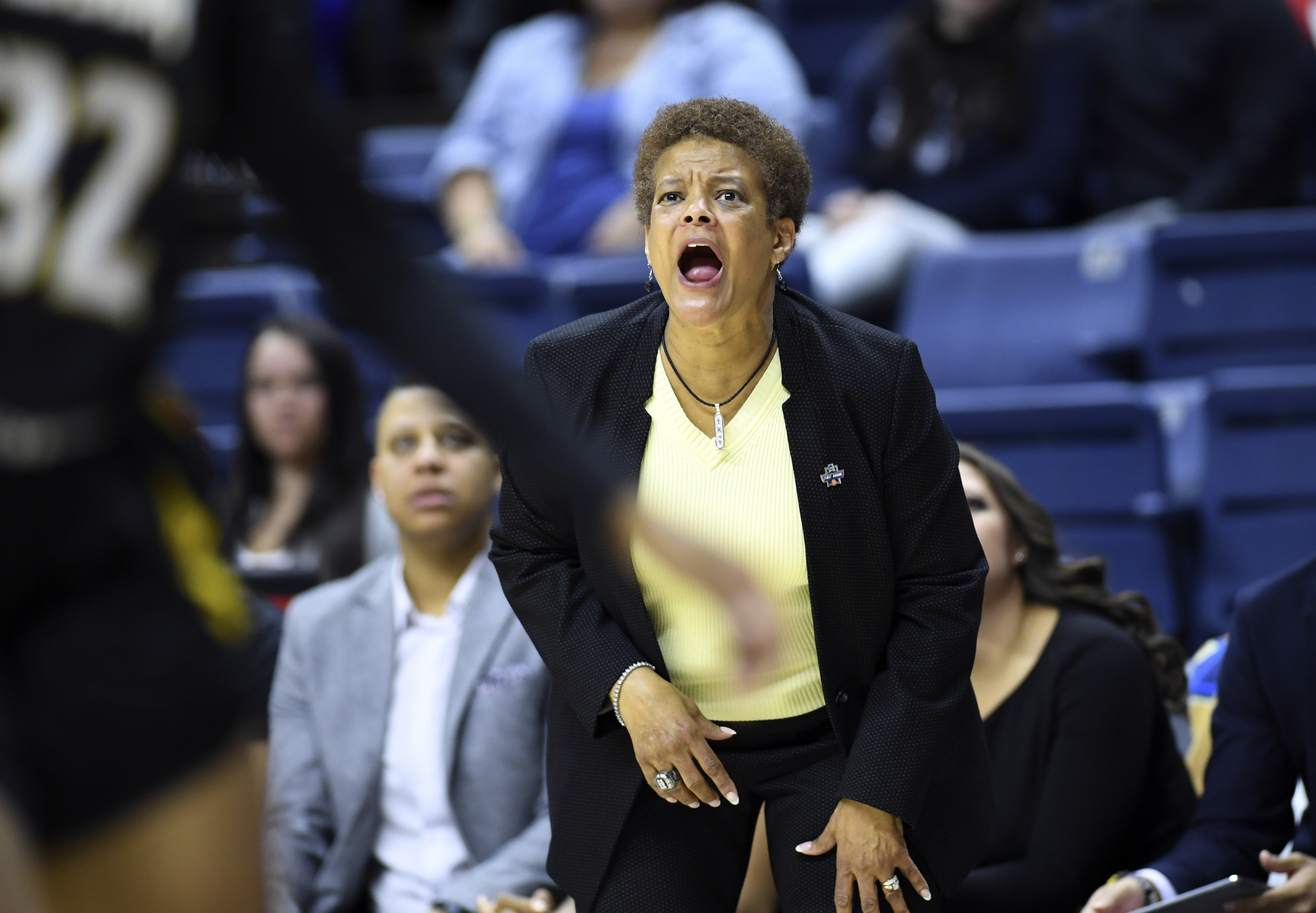 Temple names Diane Richardson as new women's basketball coach 