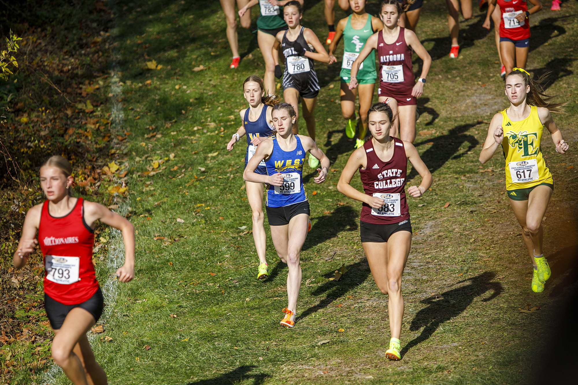 PIAA 3A Boys and Girls cross country championships - pennlive.com