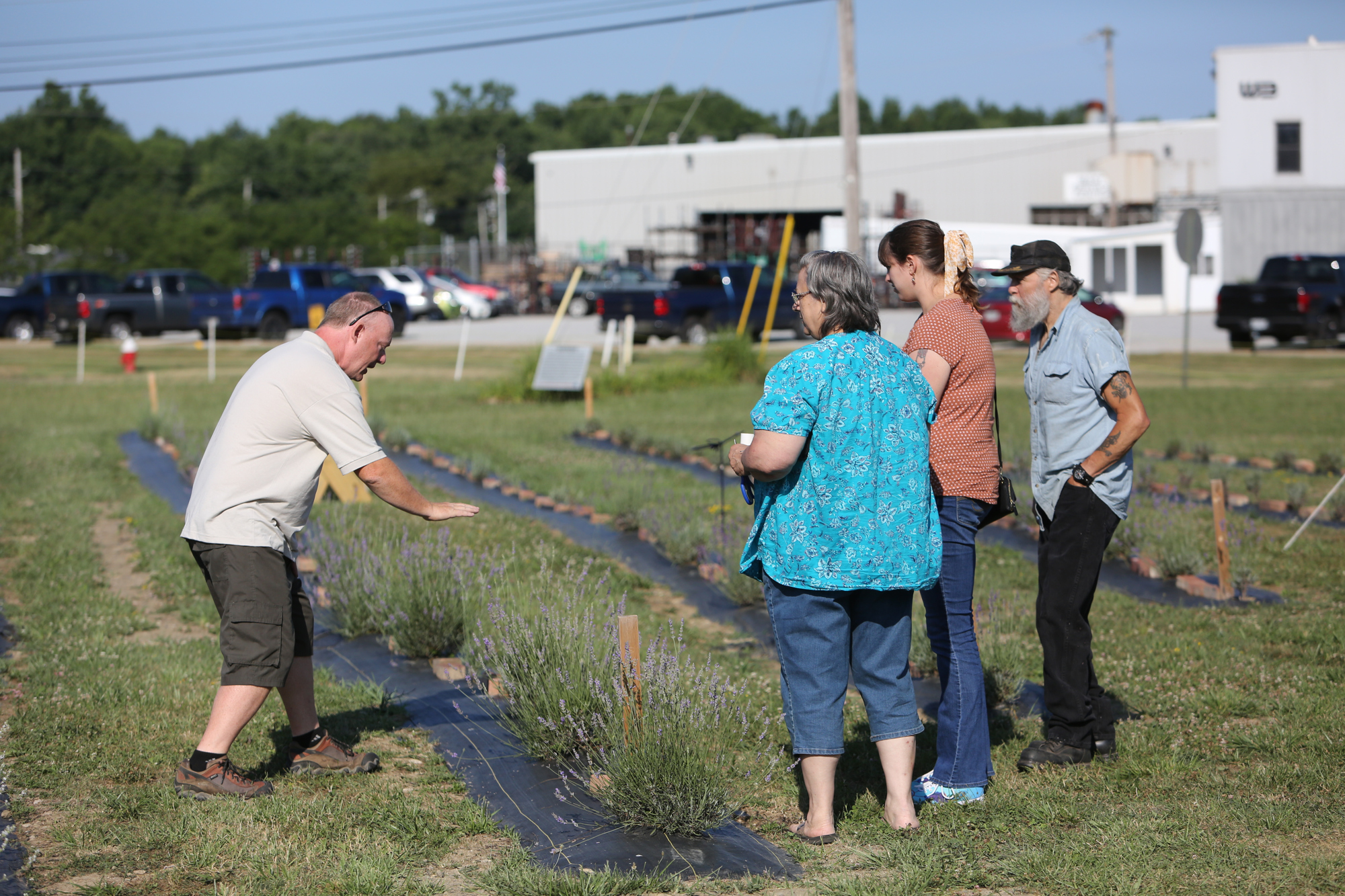 Lavender Trails Farm in Orrville