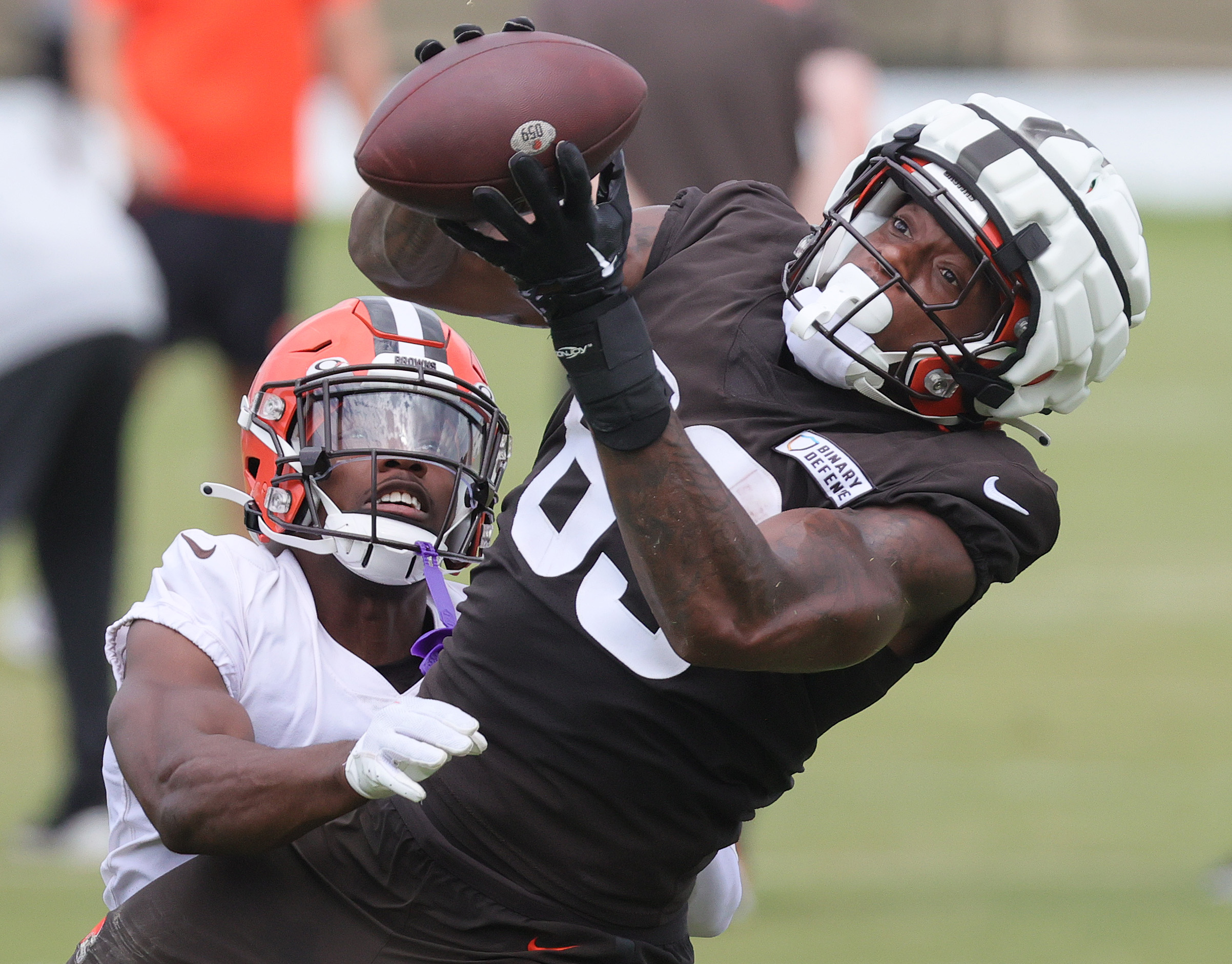 Cleveland Browns tight end Zaire Mitchell-Paden (81) runs on the