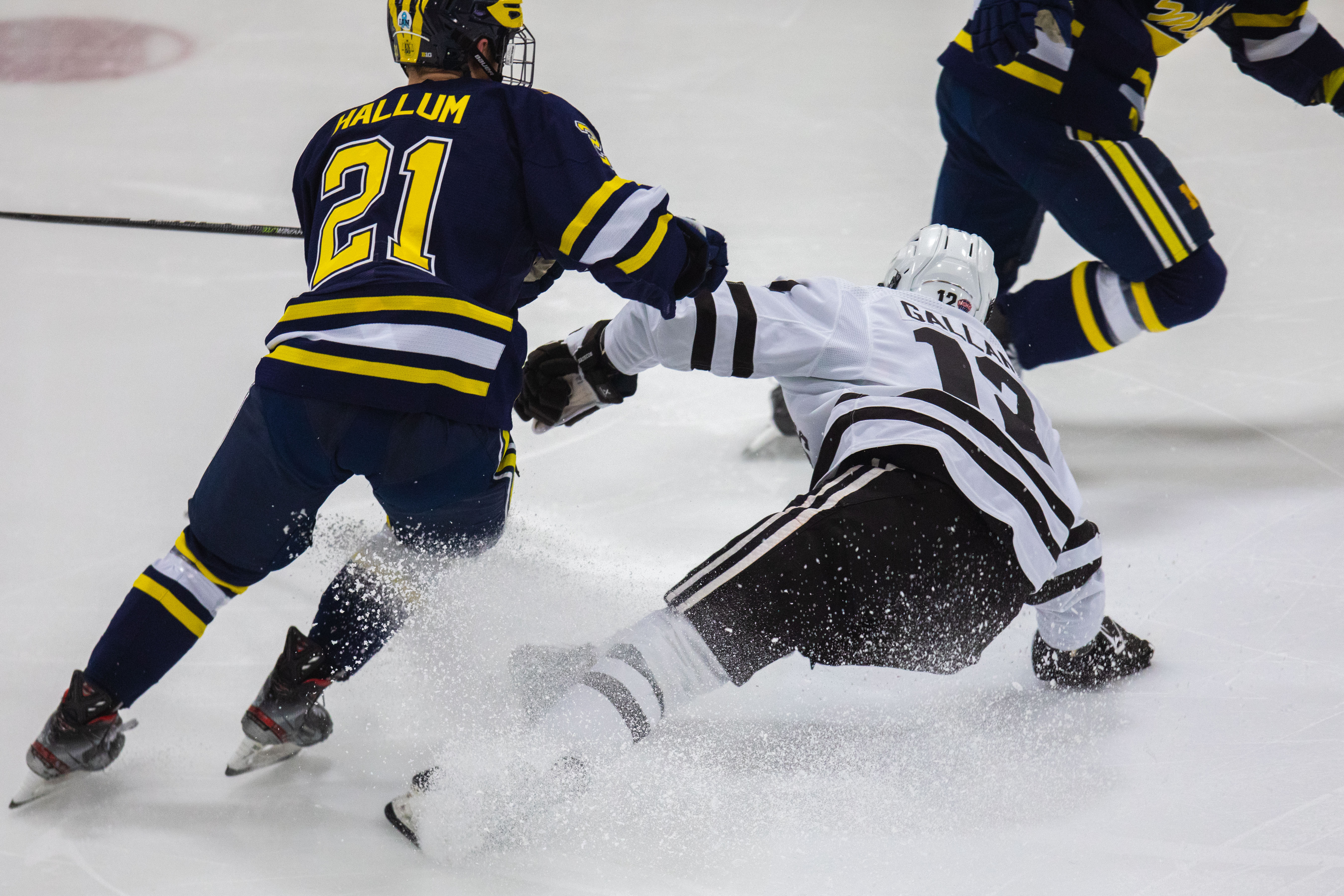 Cole Gallant - Men's Ice Hockey - Western Michigan University
