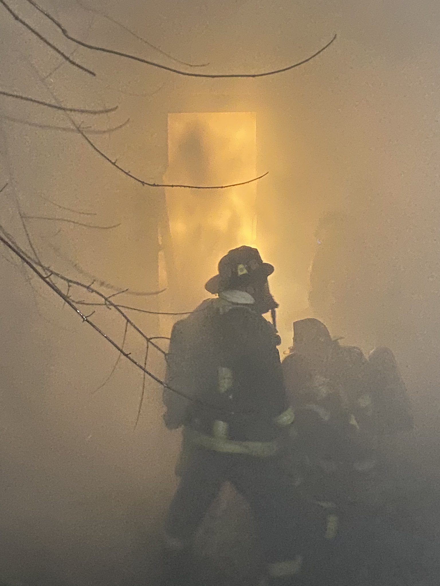 Firefighters rescue 3 cats in blaze that displaced 9 people - masslive.com
