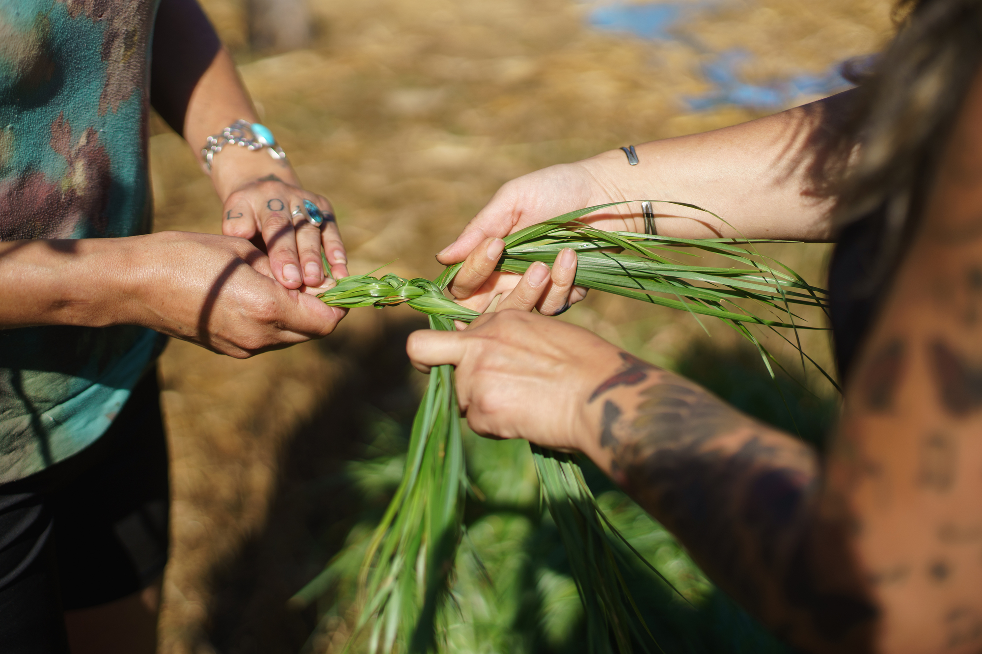 Sweetgrass Braid - Red Lake Nation Foods