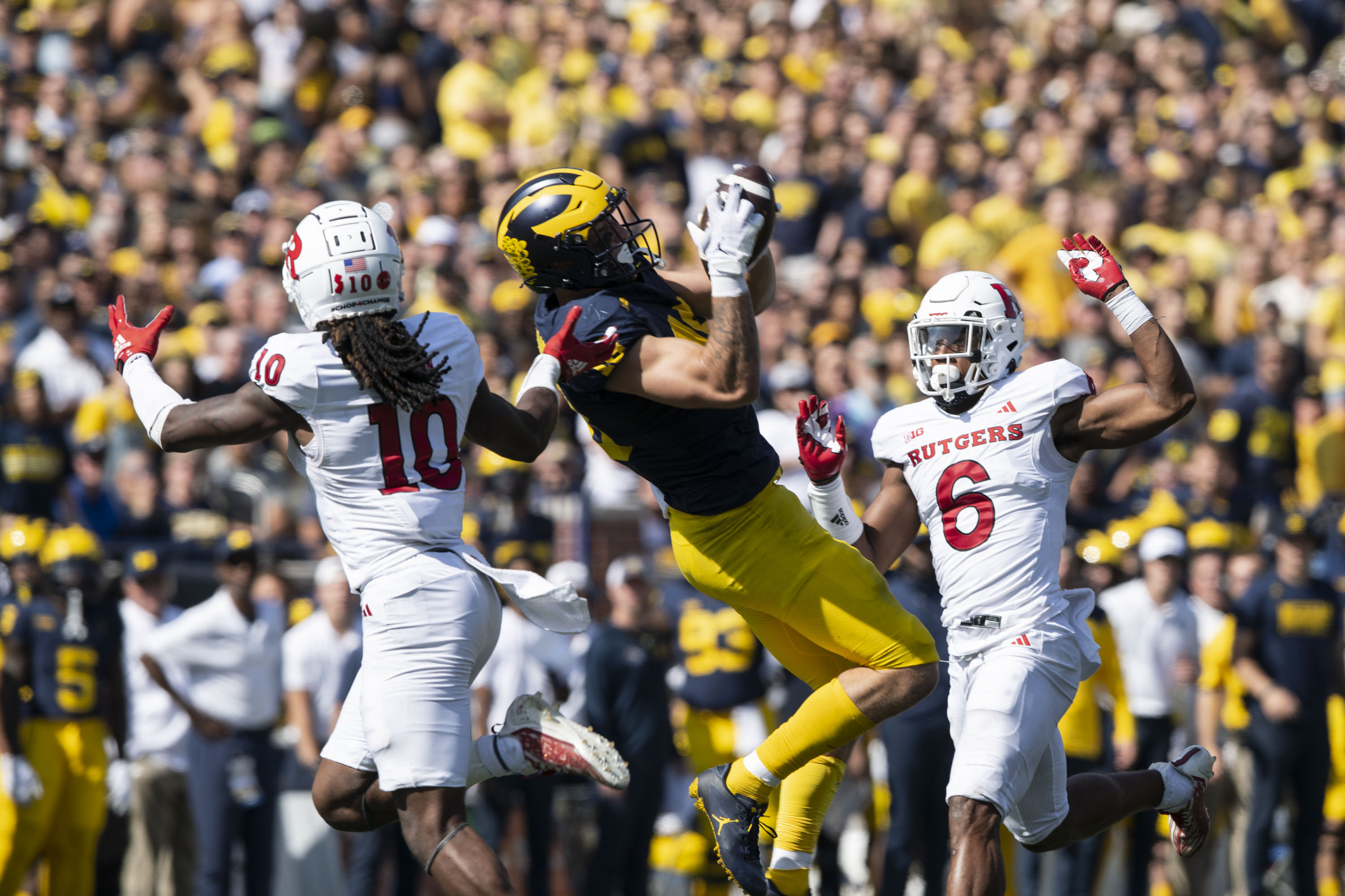 Snap counts, PFF grades: Roman Wilson leads Michigan offense with  incredible TD grab 